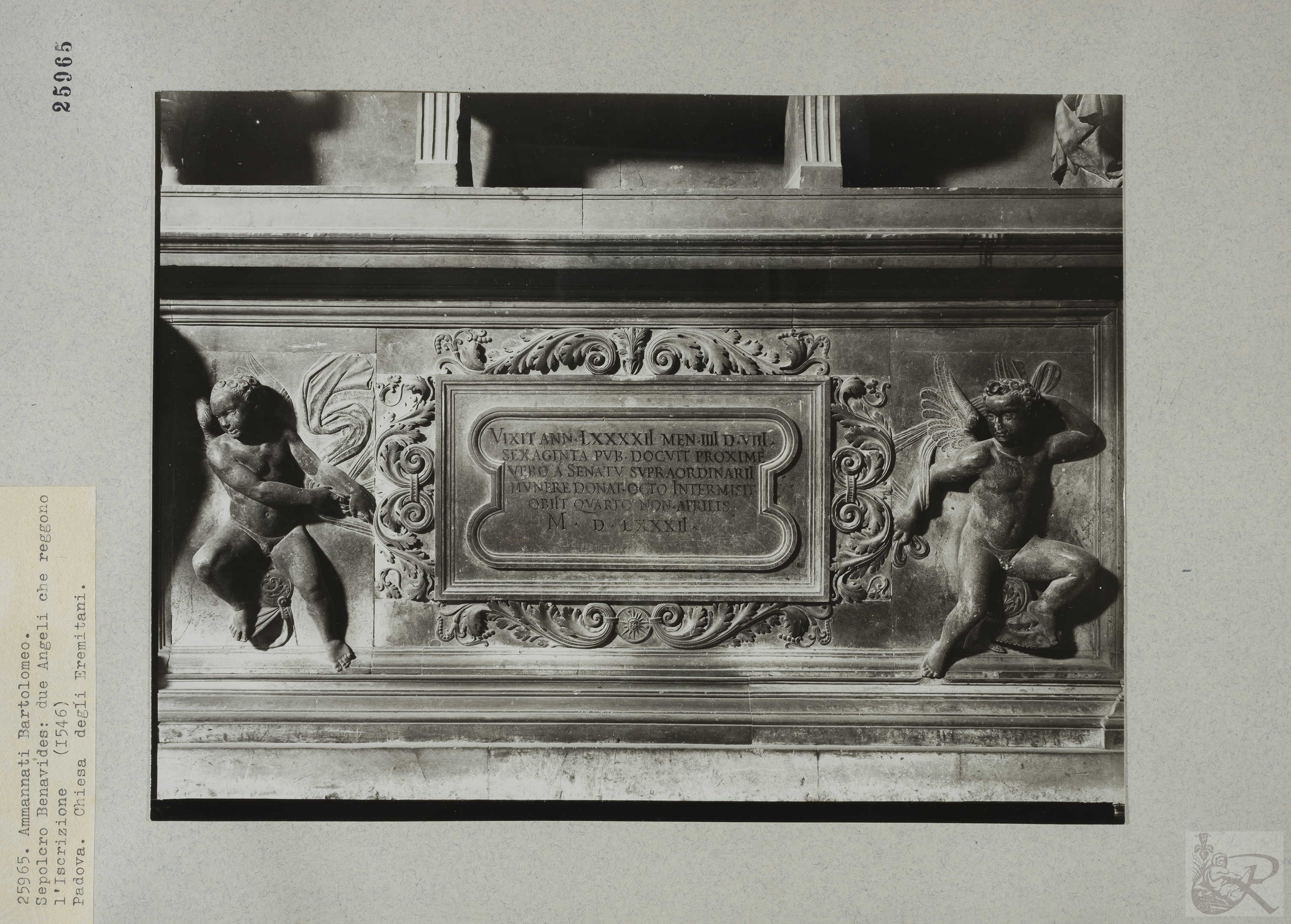 Immagine di anteprima