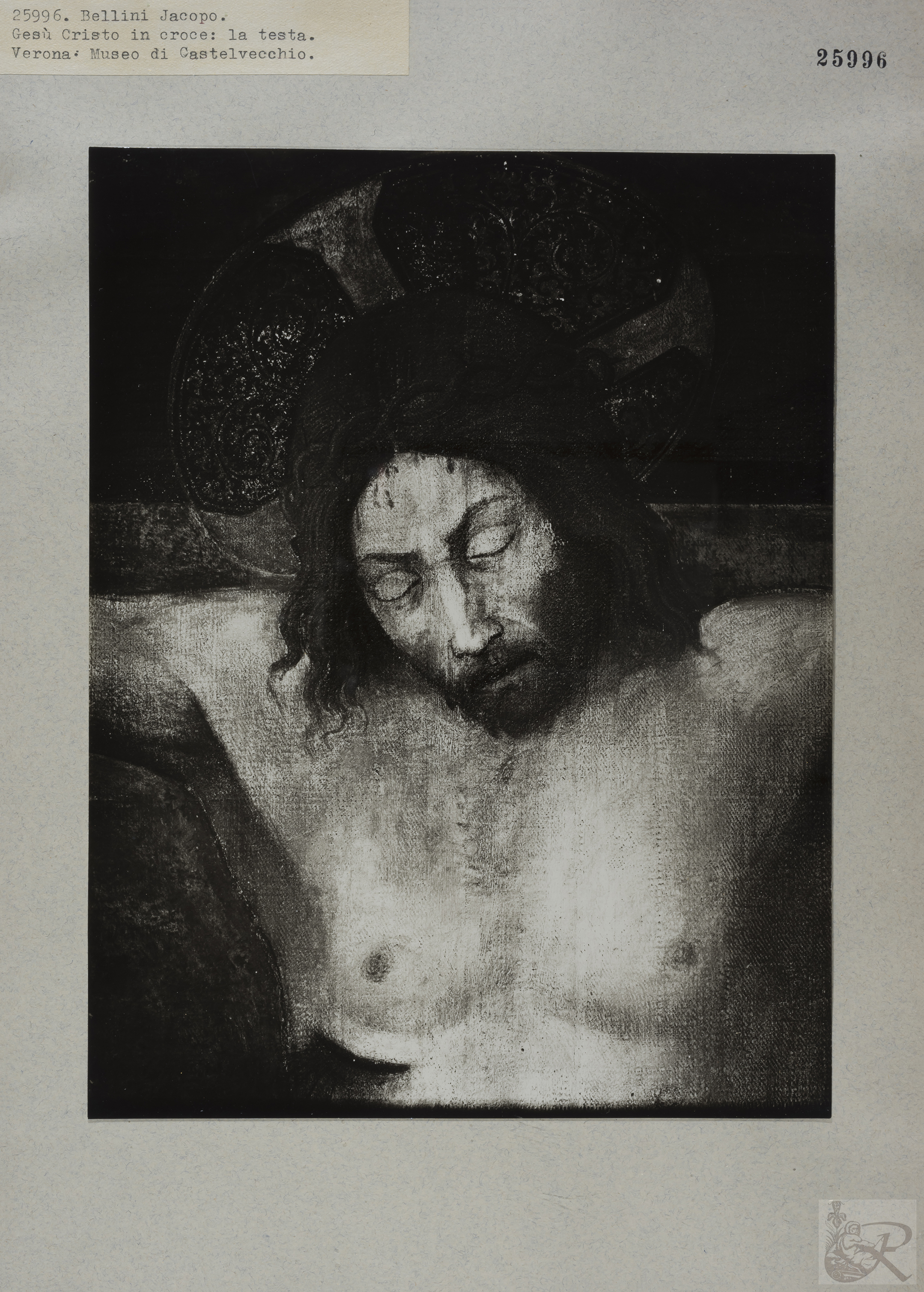 Immagine di anteprima