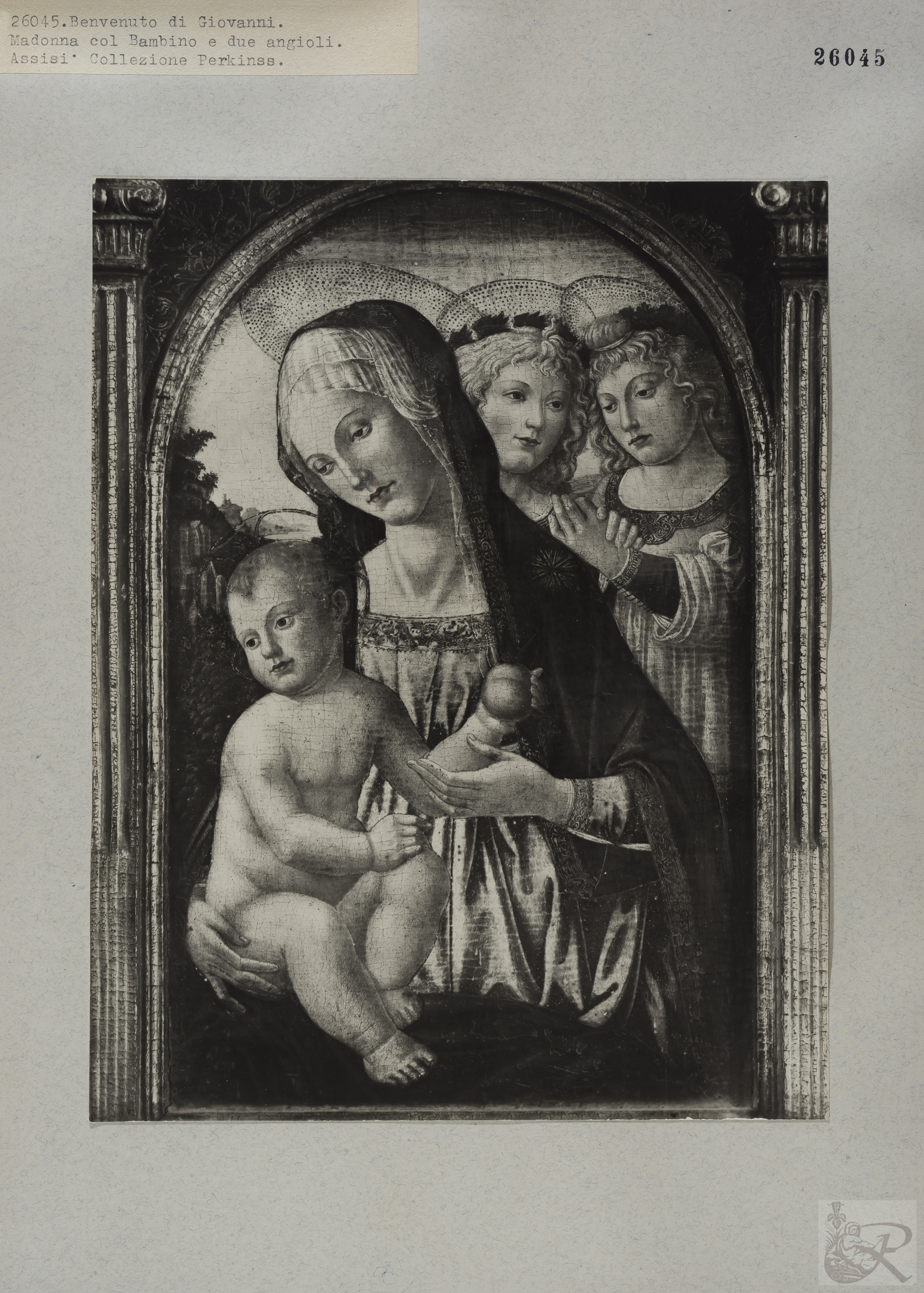 Immagine di anteprima