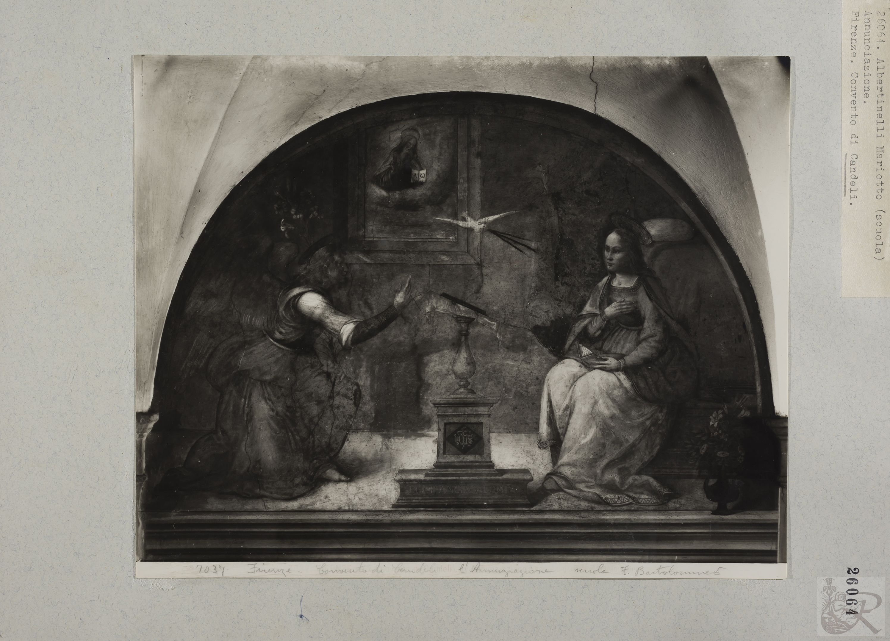 Immagine di anteprima