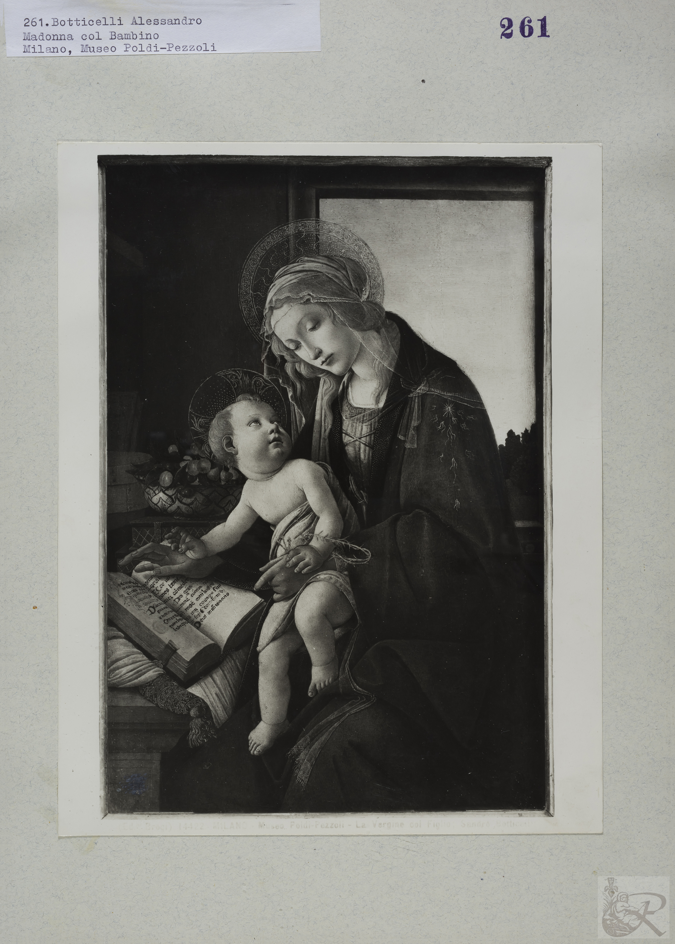 Immagine di anteprima