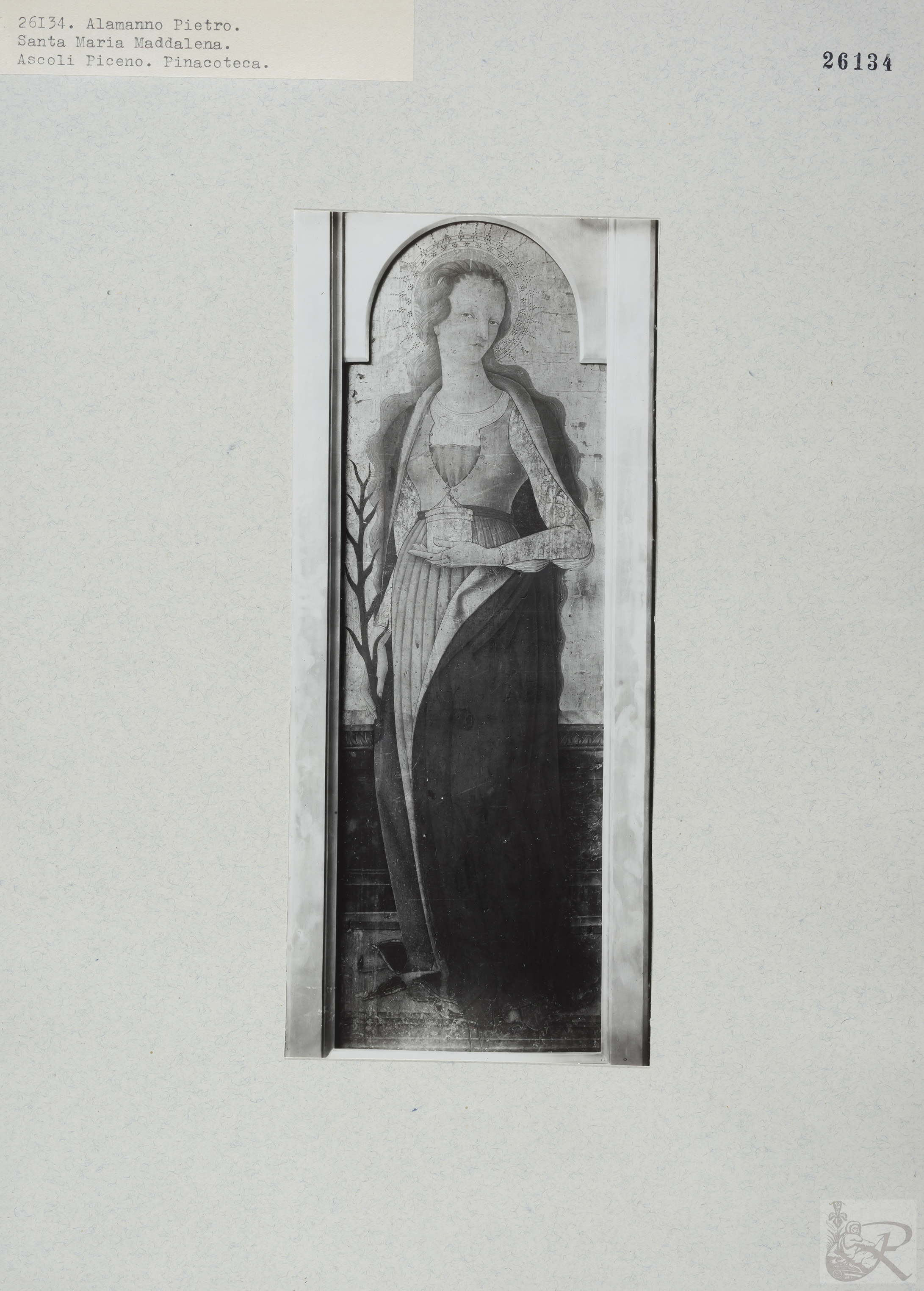 Immagine di anteprima