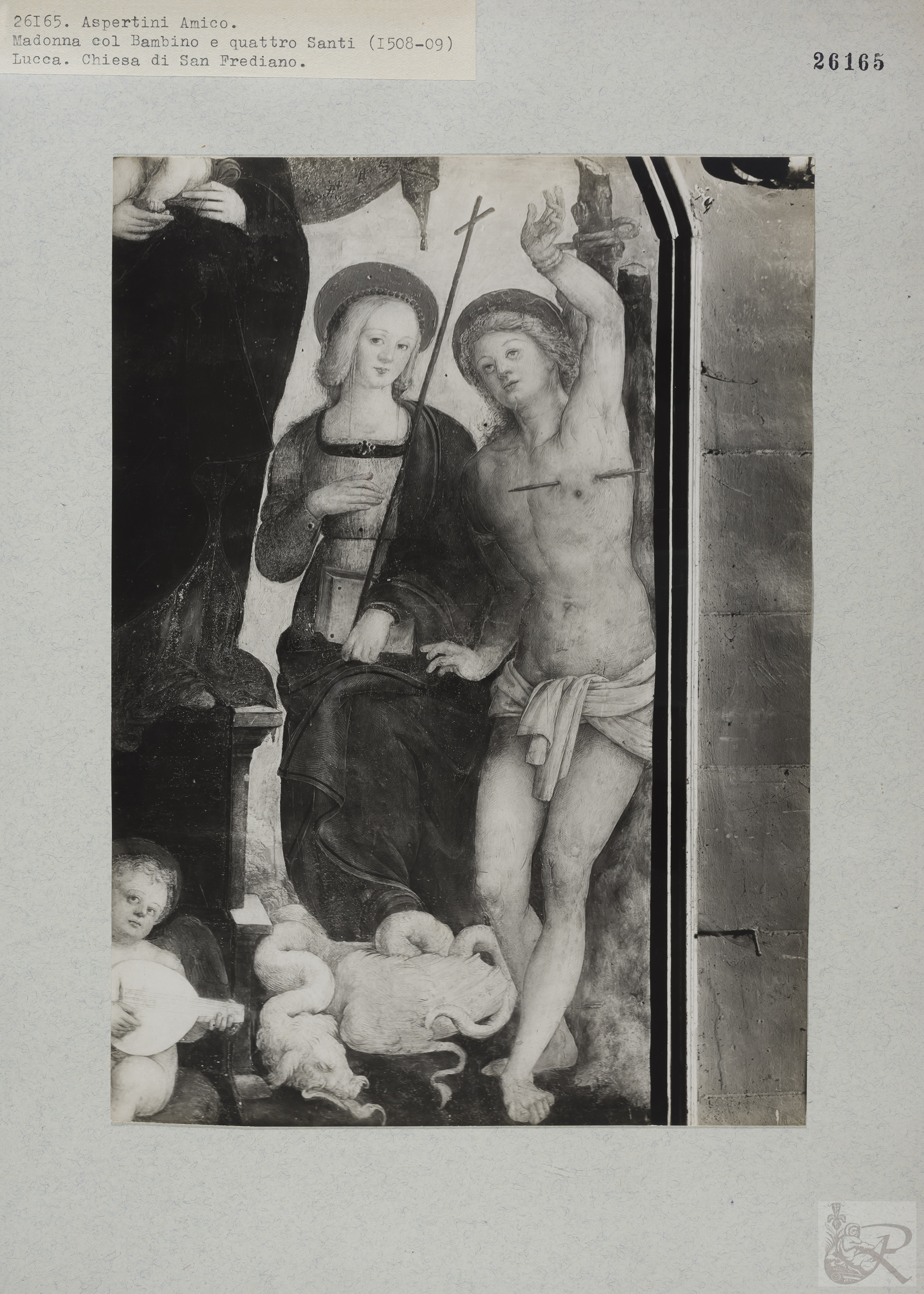 Immagine di anteprima