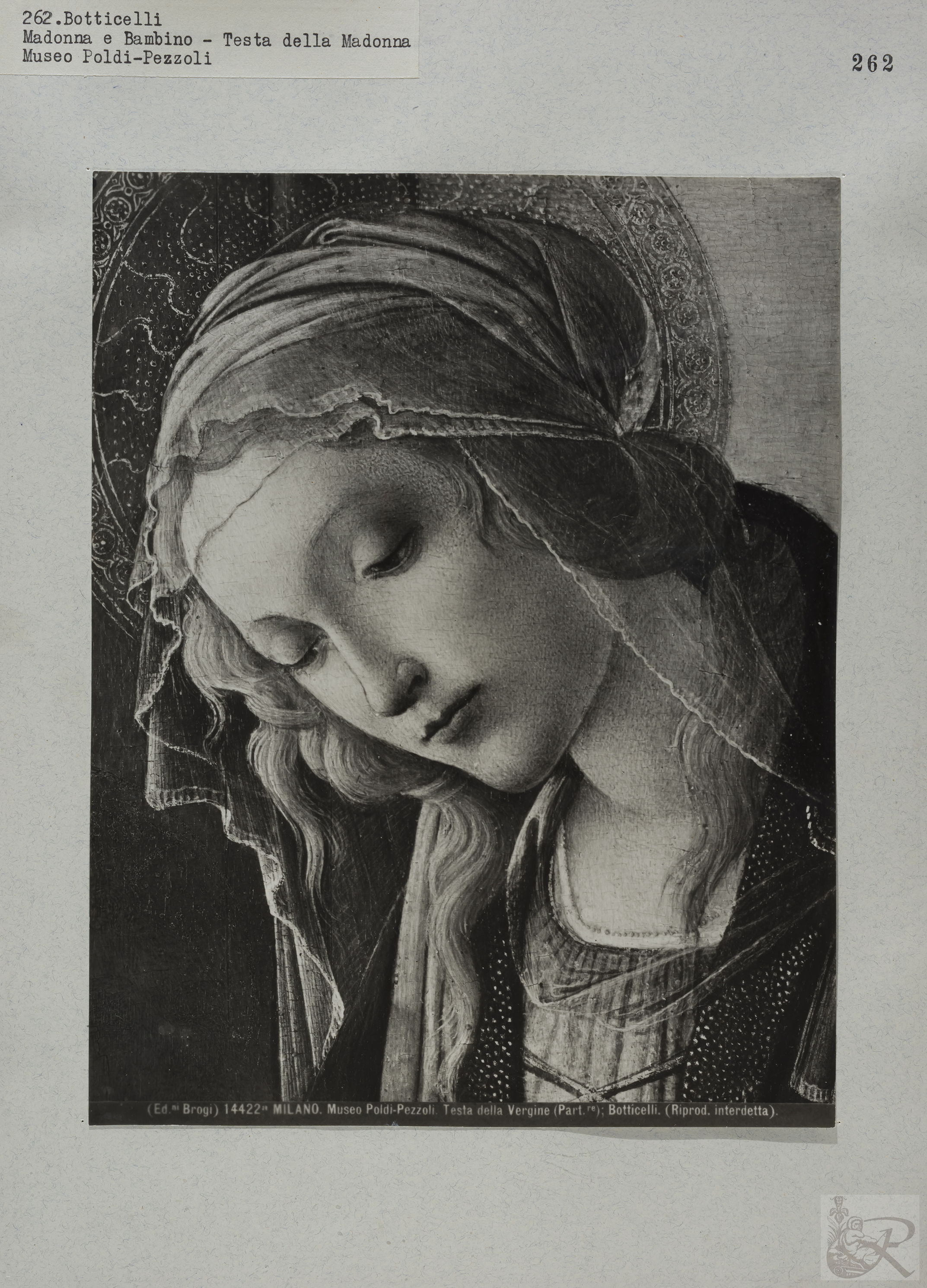 Immagine di anteprima