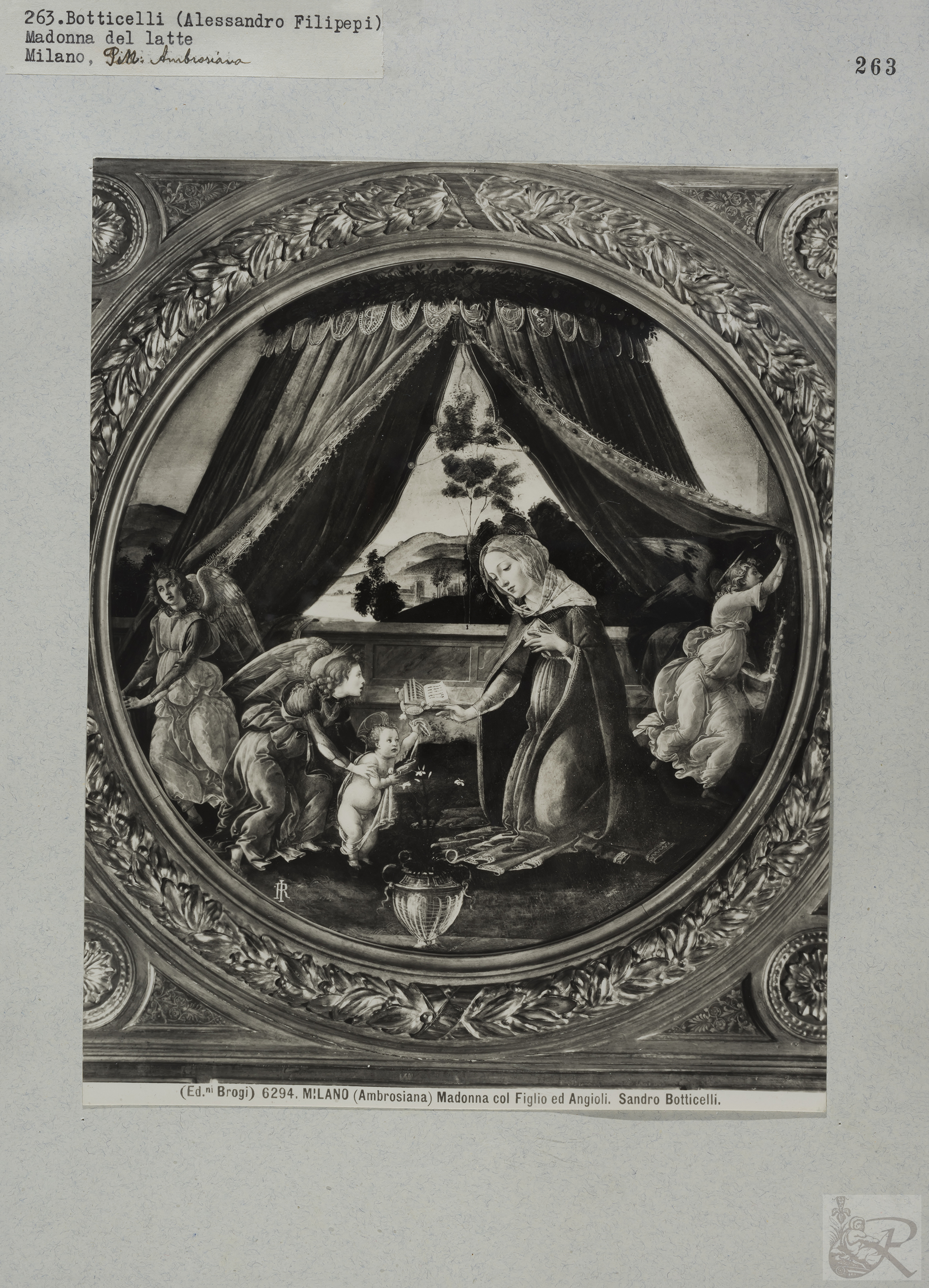 Immagine di anteprima