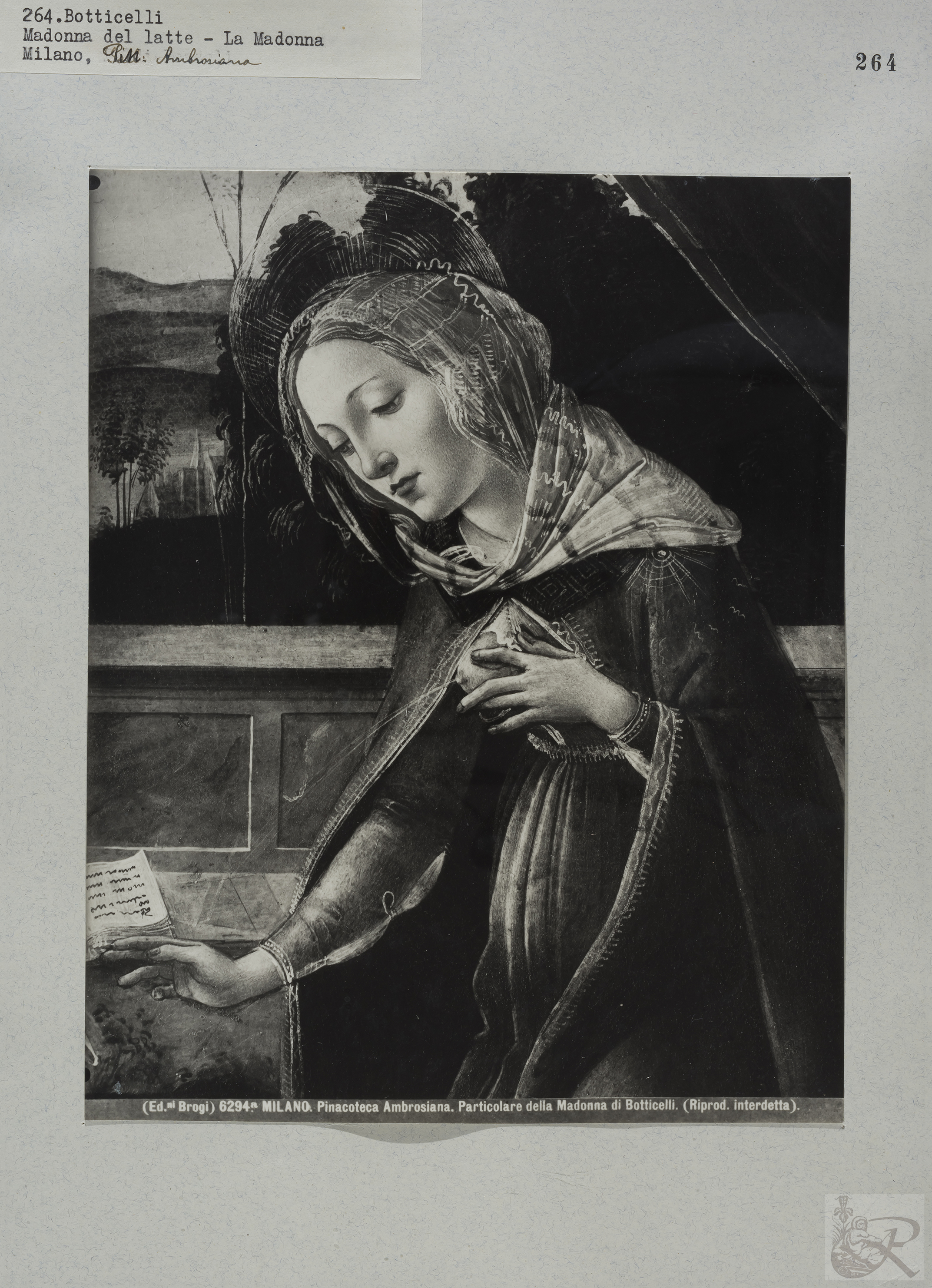 Immagine di anteprima