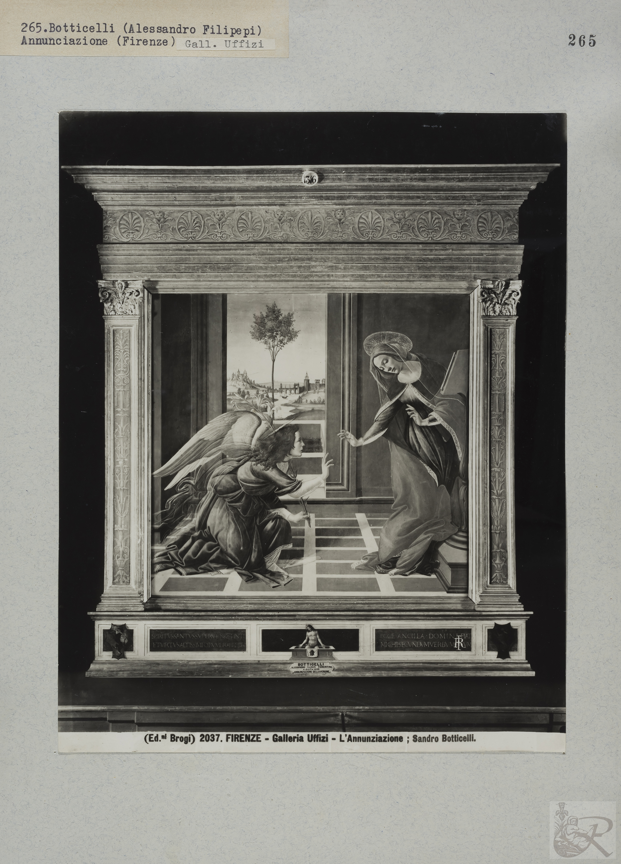 Immagine di anteprima