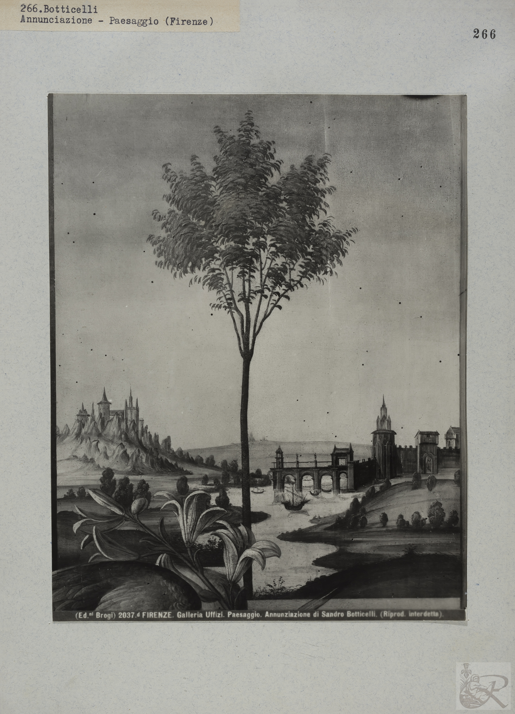 Immagine di anteprima