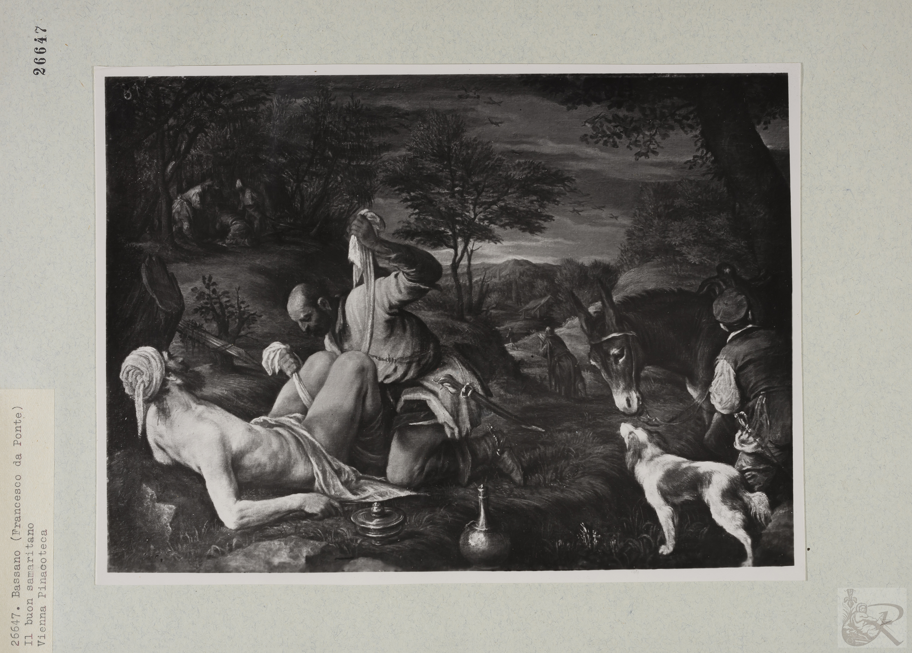 Immagine di anteprima