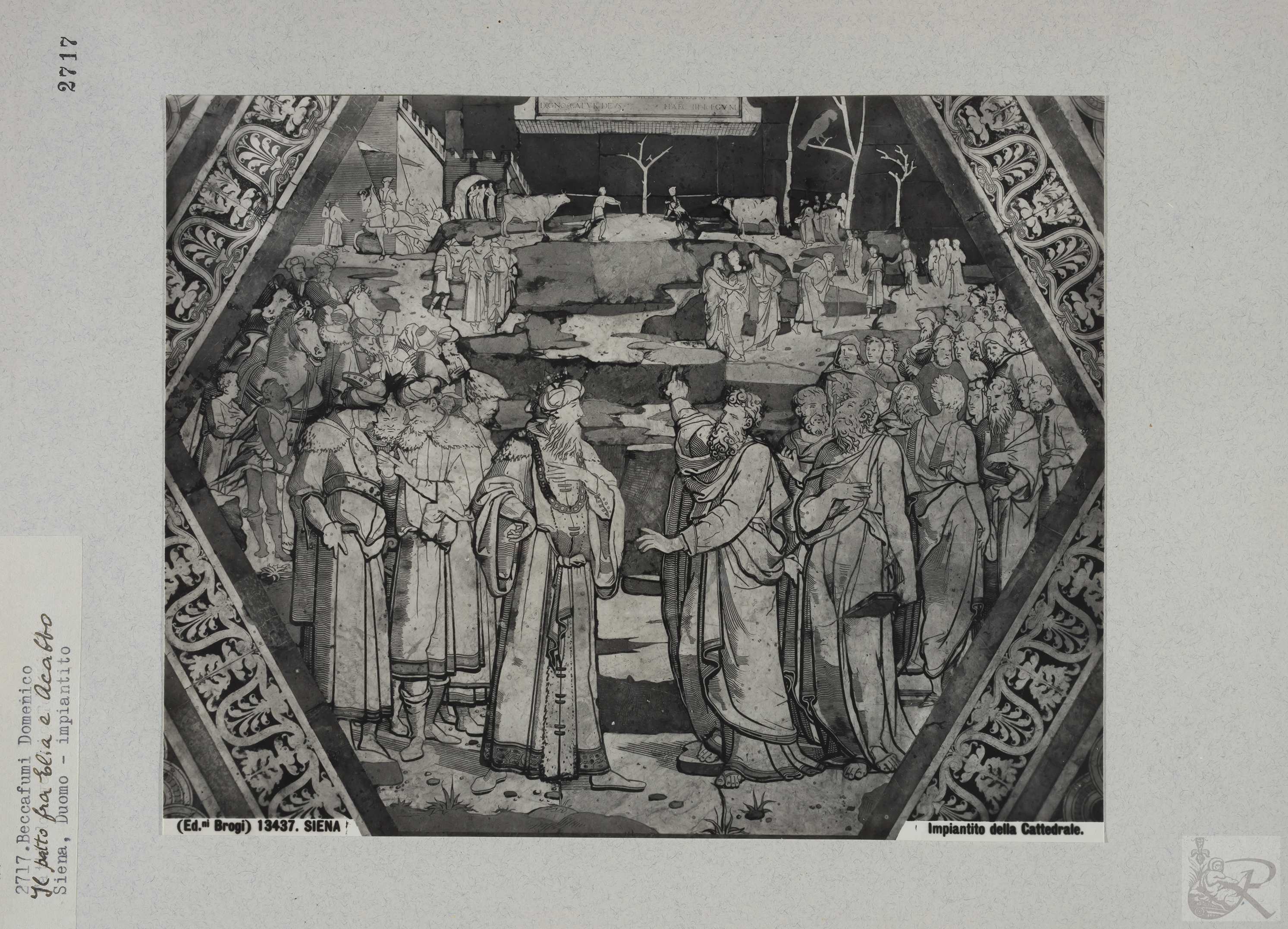 Immagine di anteprima