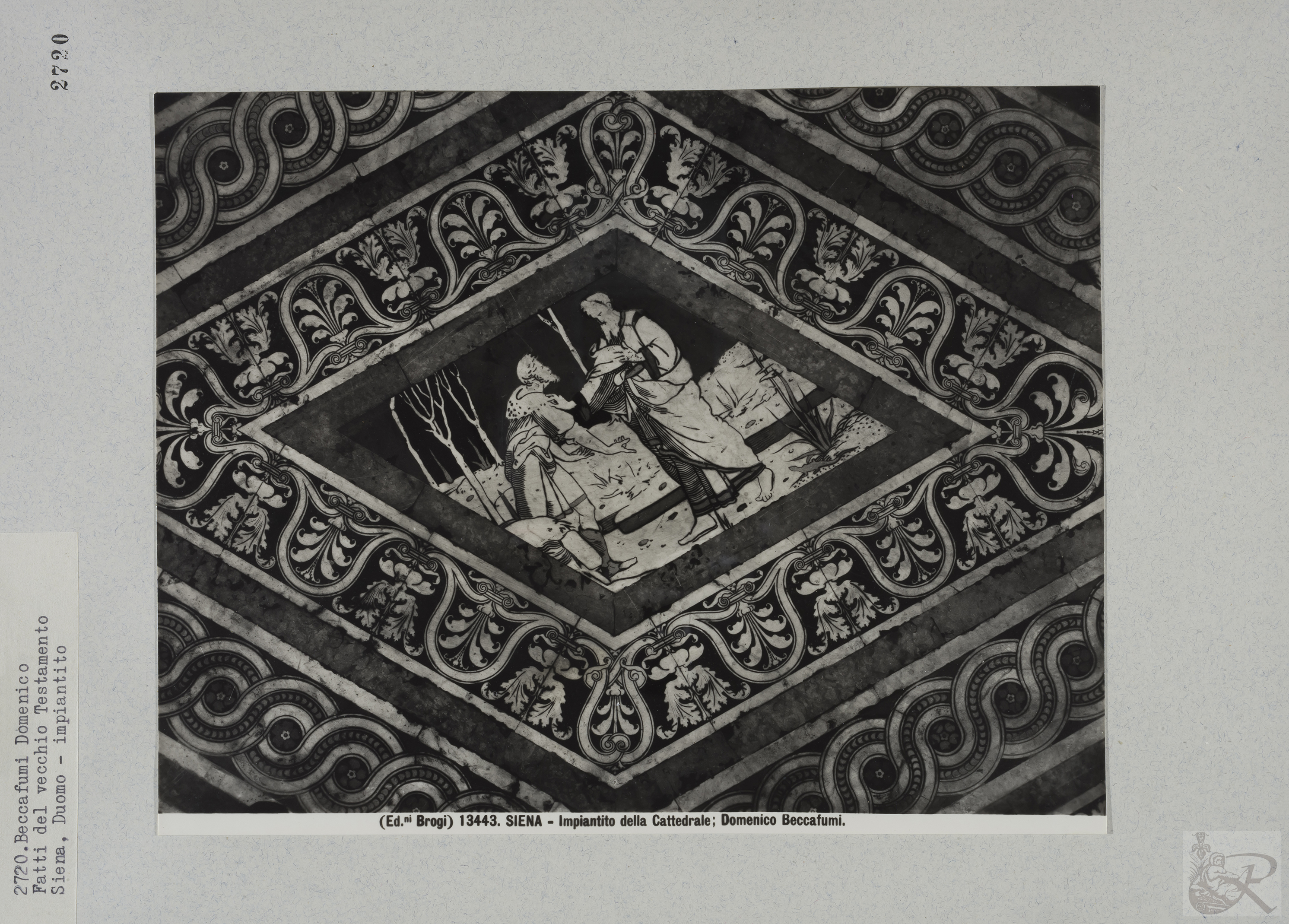 Immagine di anteprima