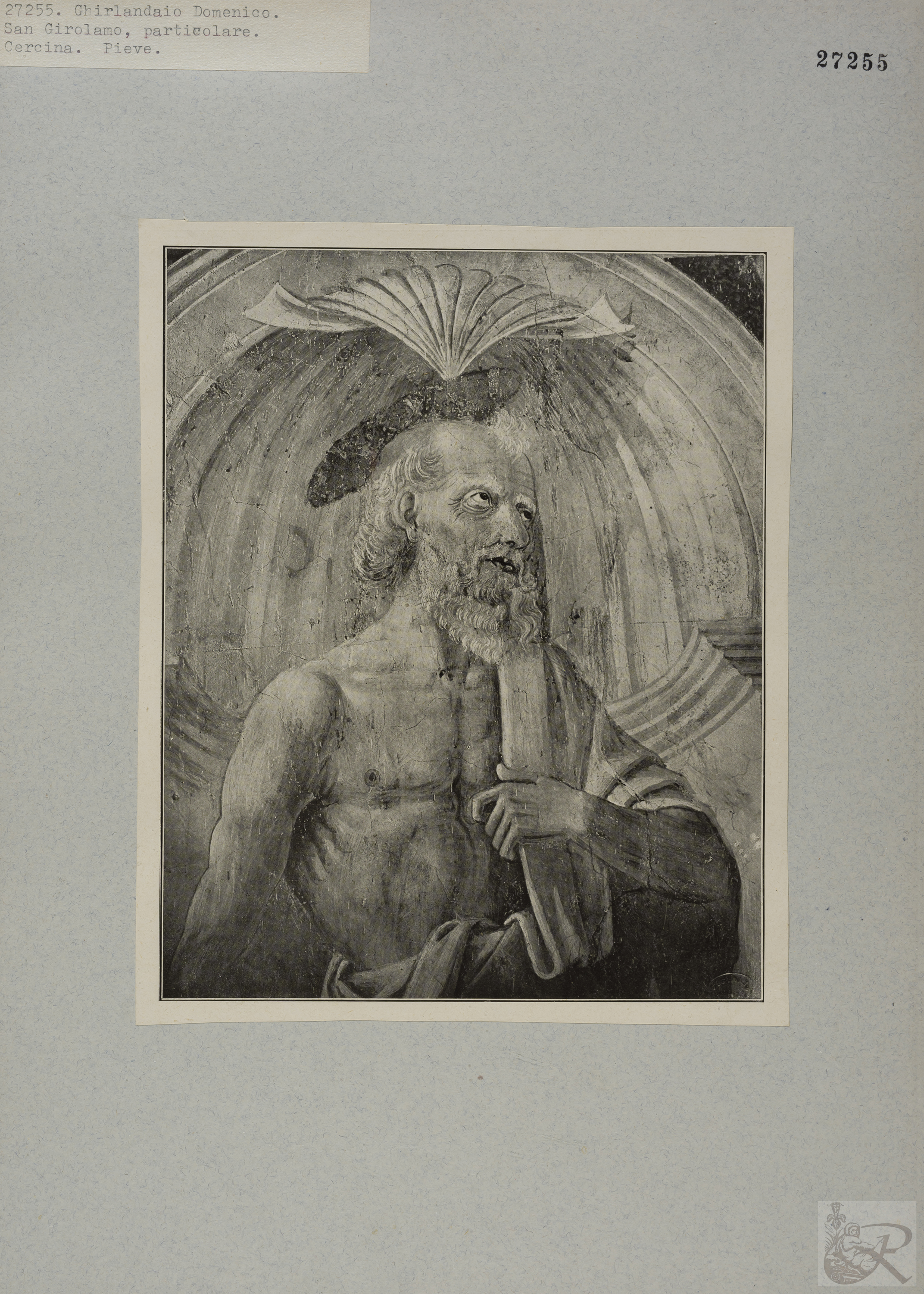 Immagine di anteprima