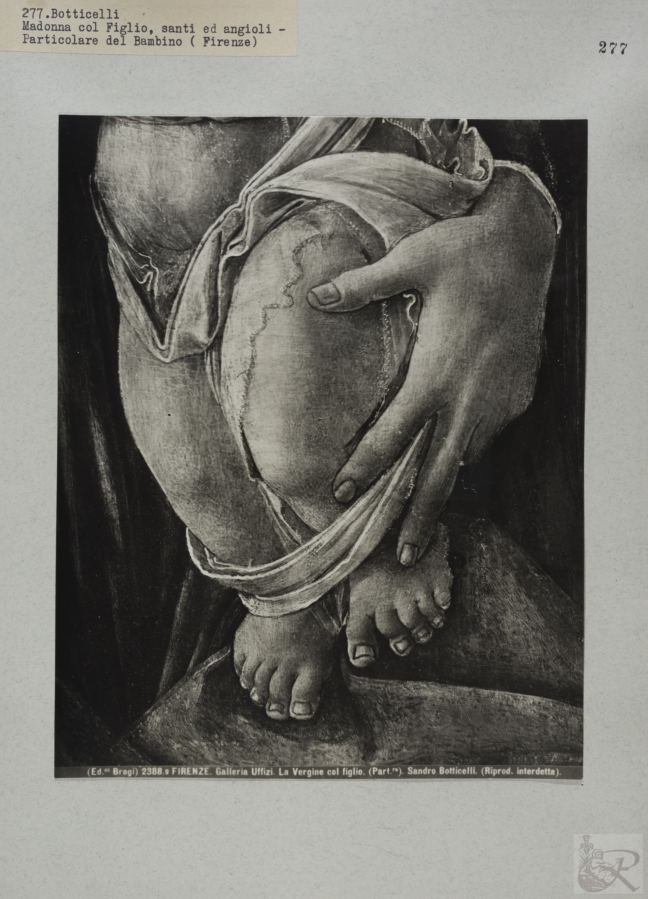 Immagine di anteprima