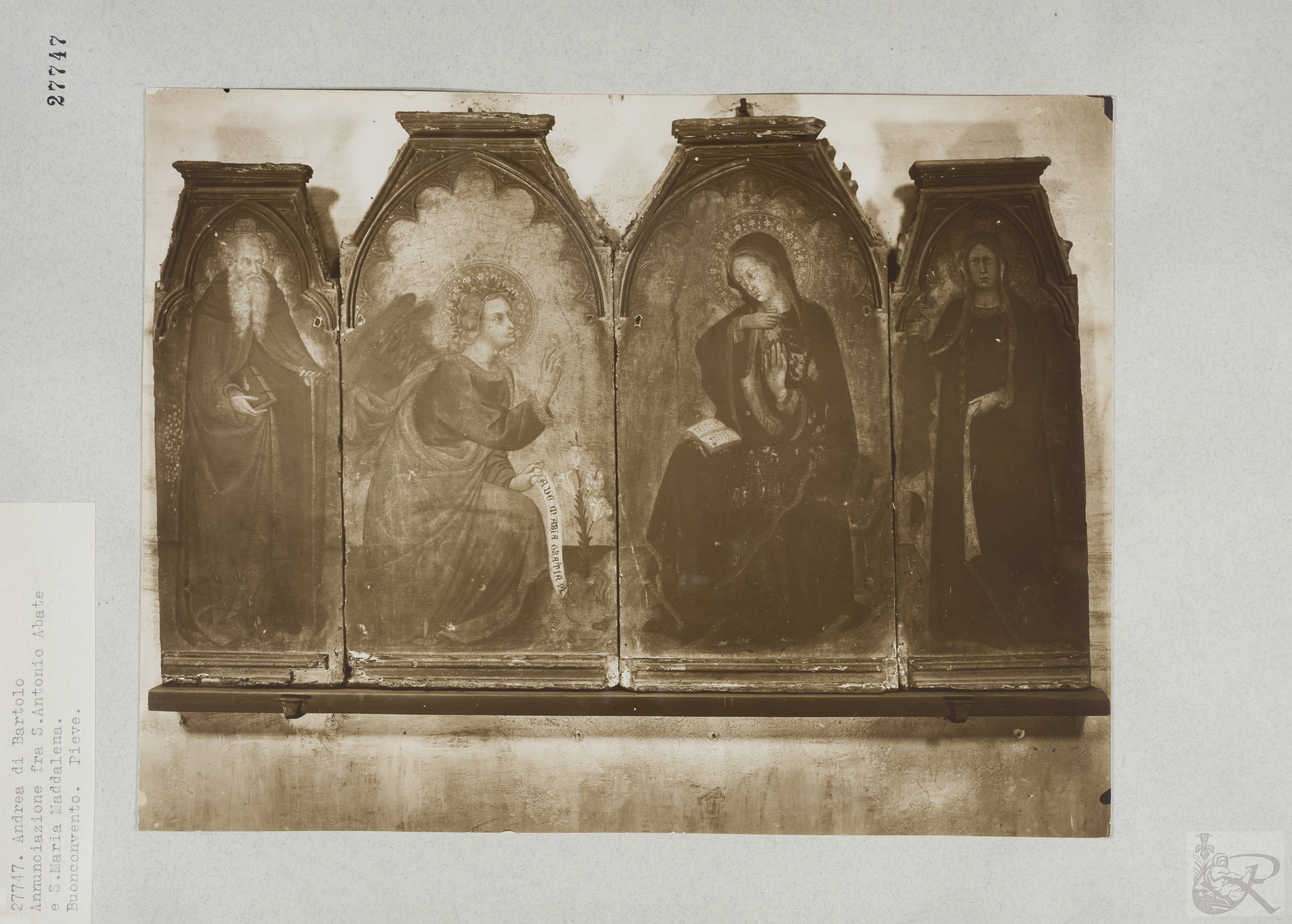 Immagine di anteprima