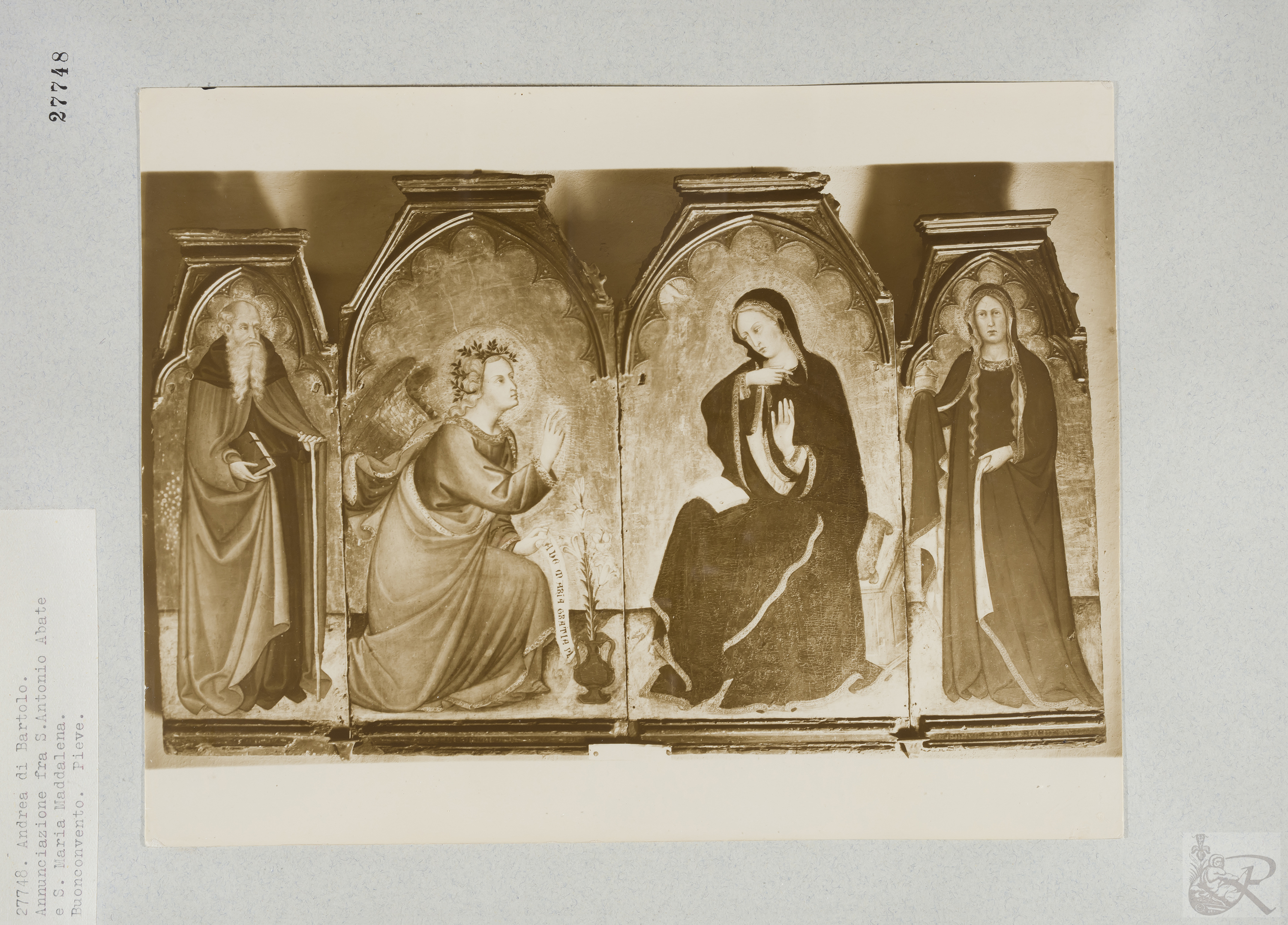 Immagine di anteprima