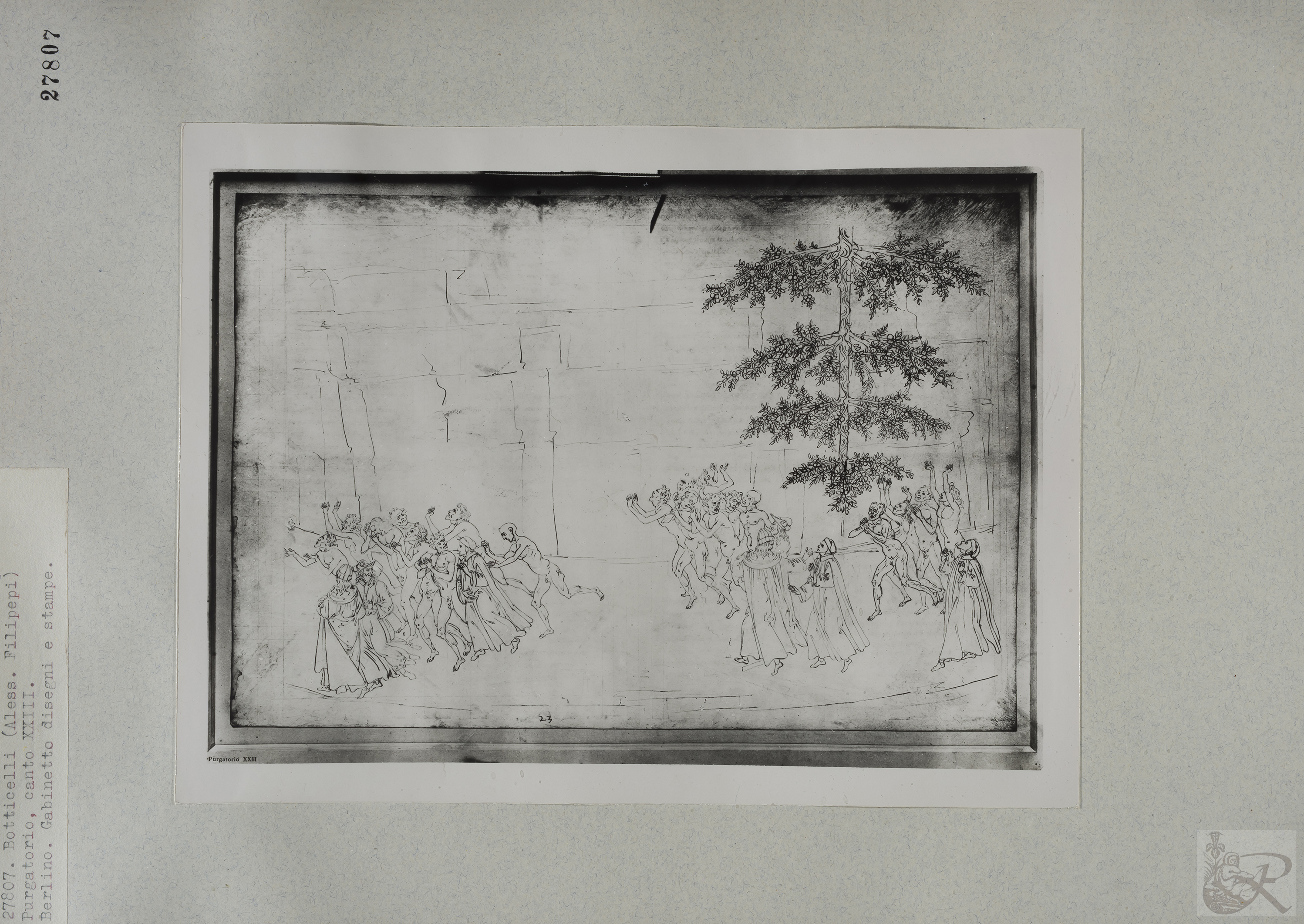 Immagine di anteprima