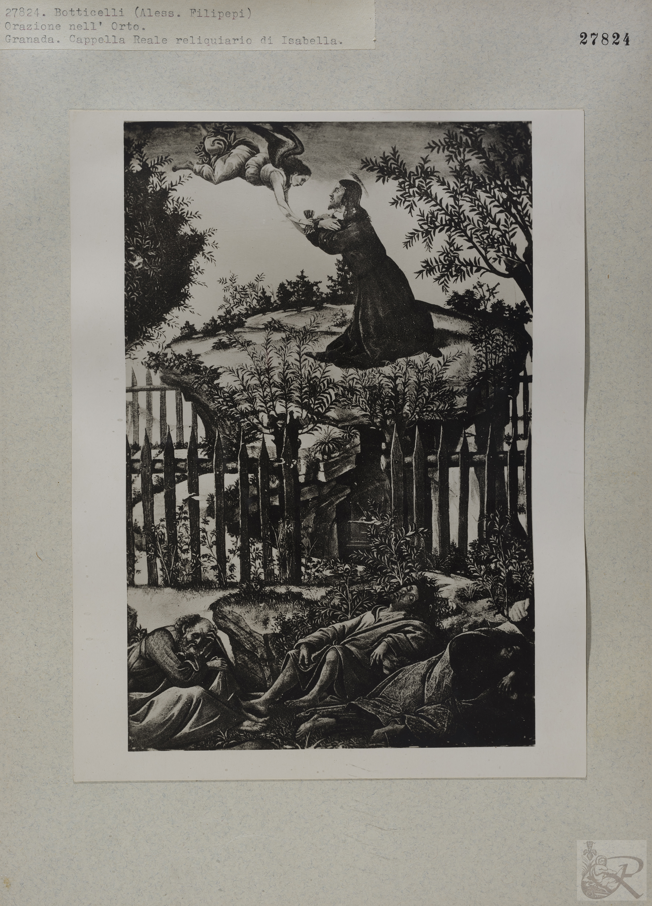 Immagine di anteprima