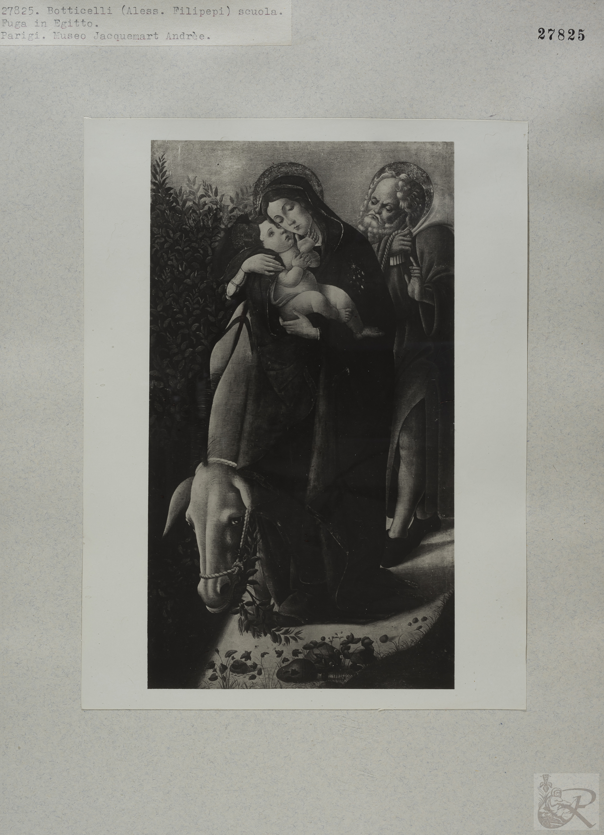 Immagine di anteprima