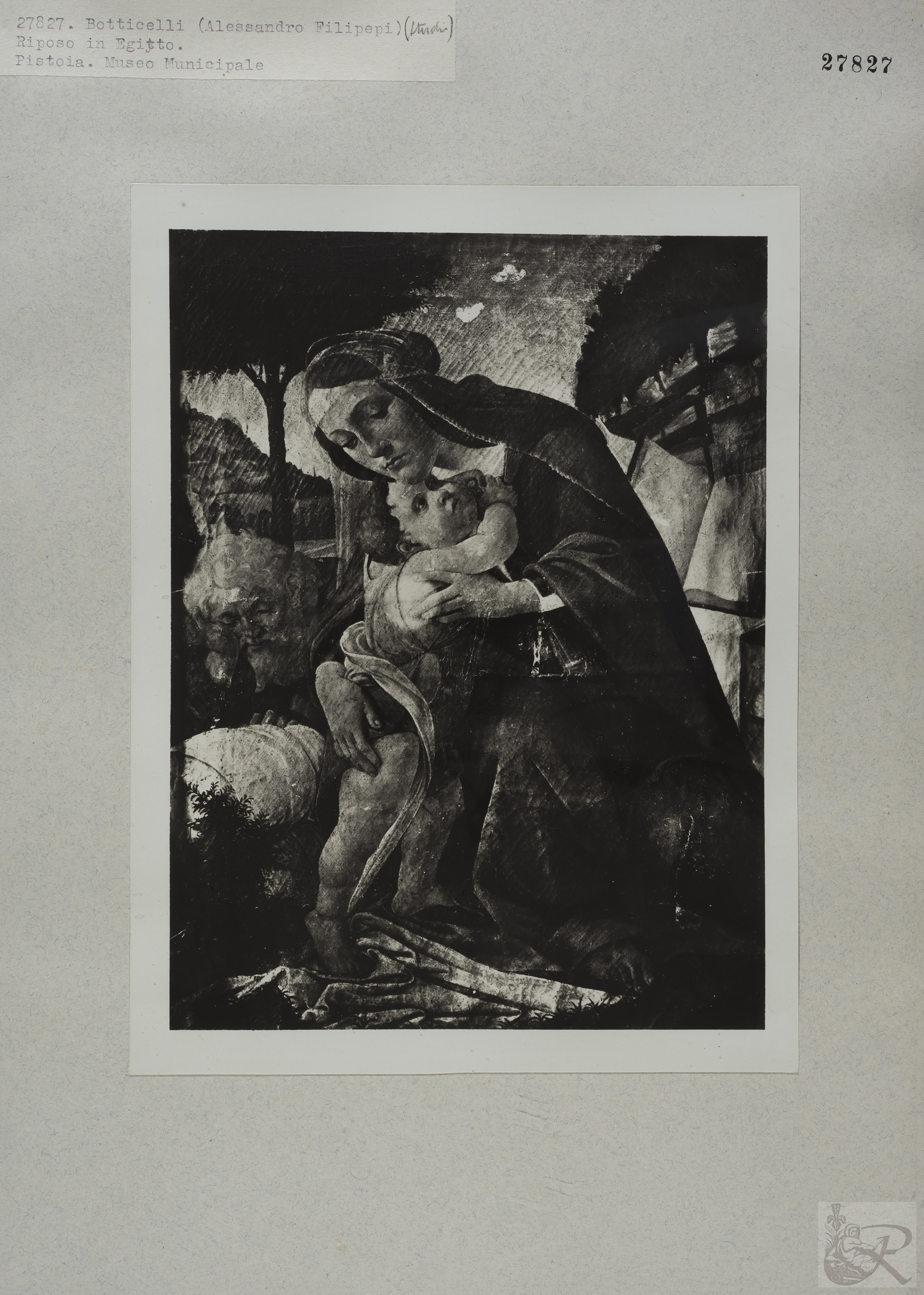 Immagine di anteprima