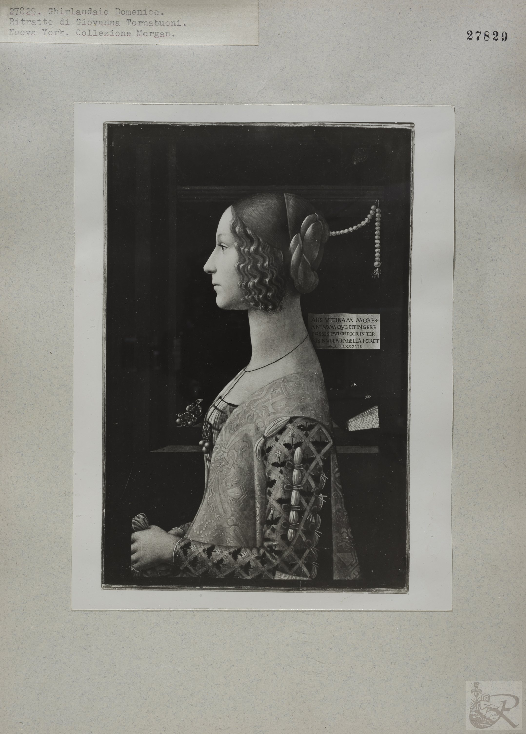 Immagine di anteprima