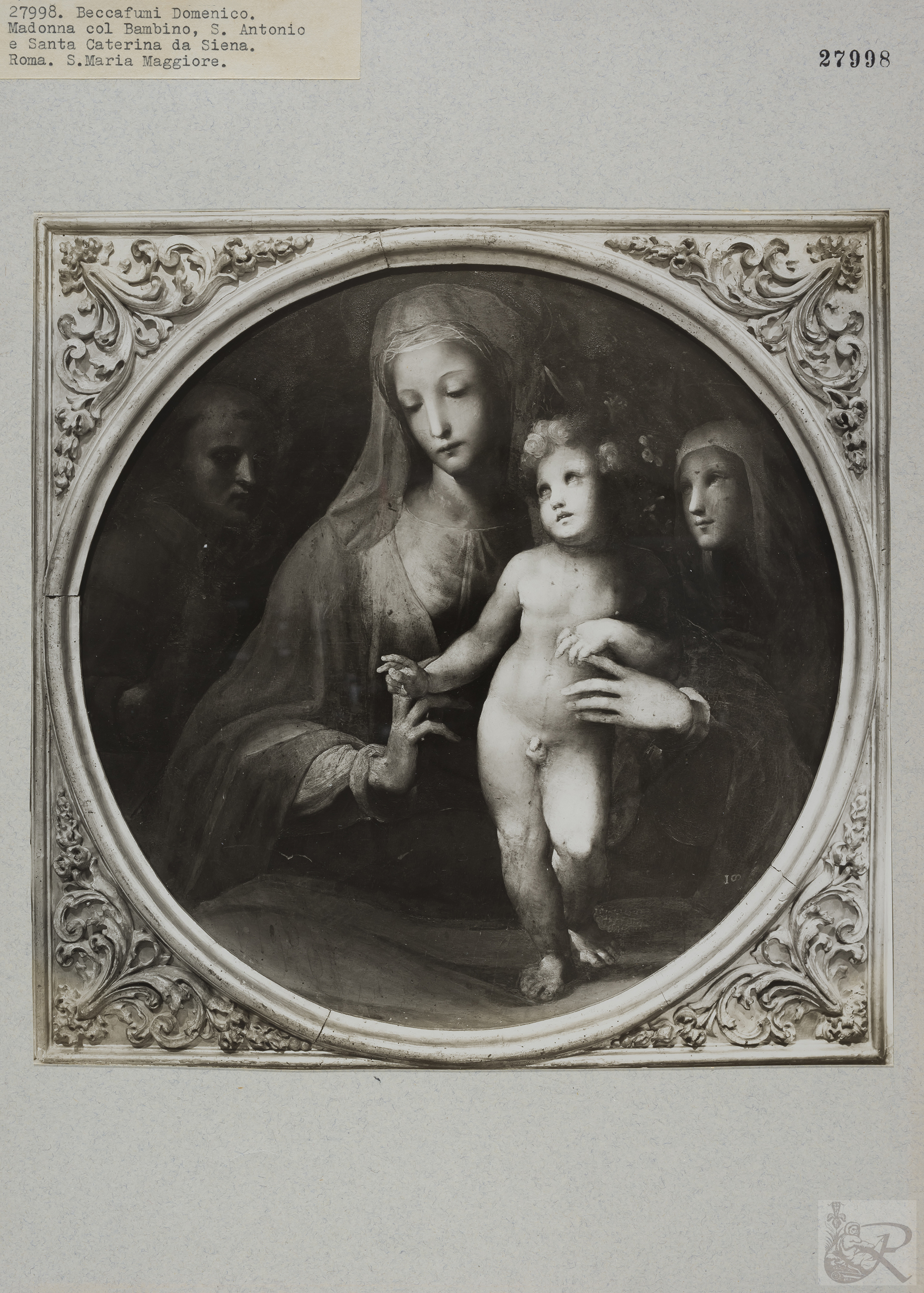 Immagine di anteprima