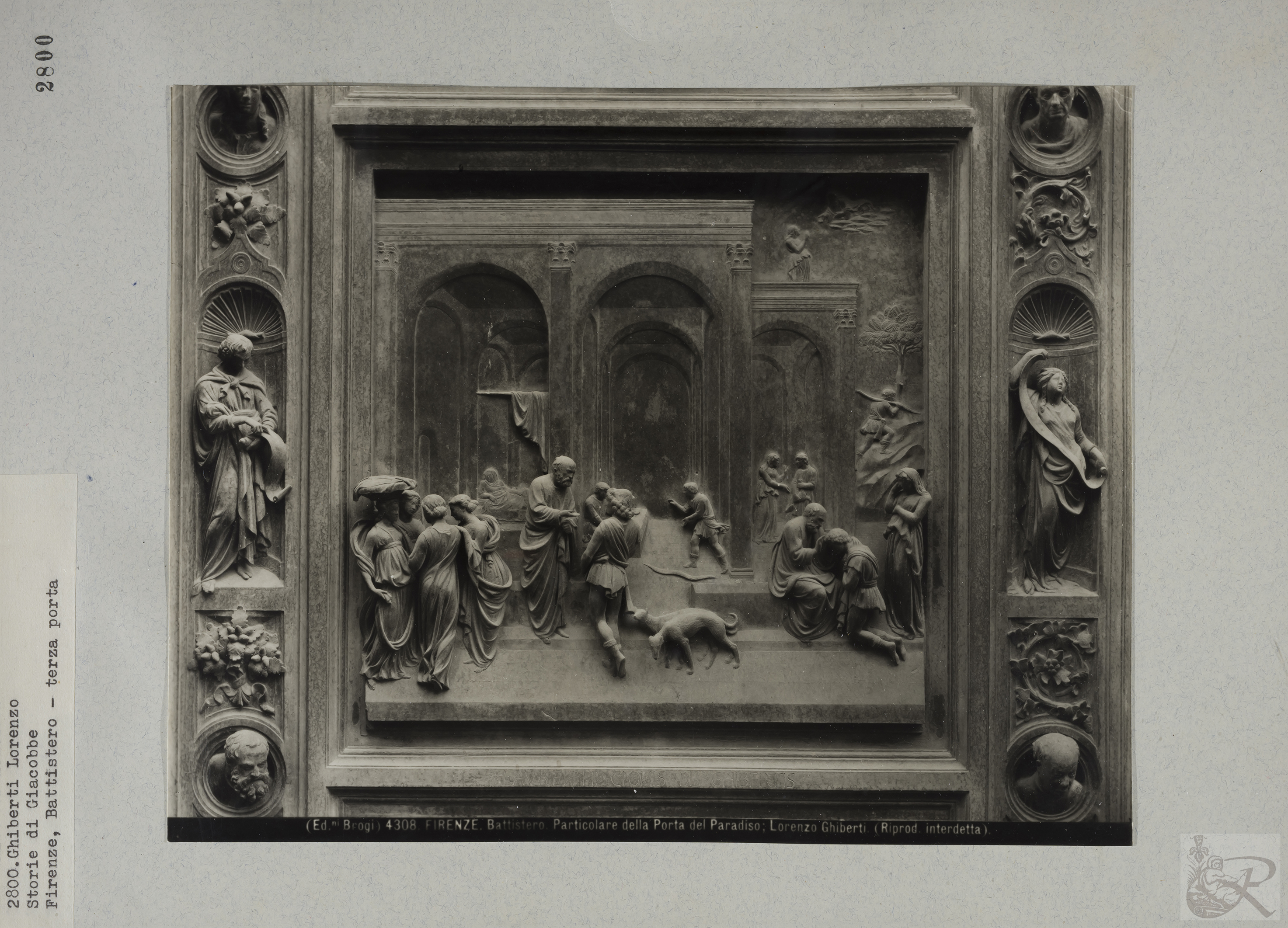 Immagine di anteprima