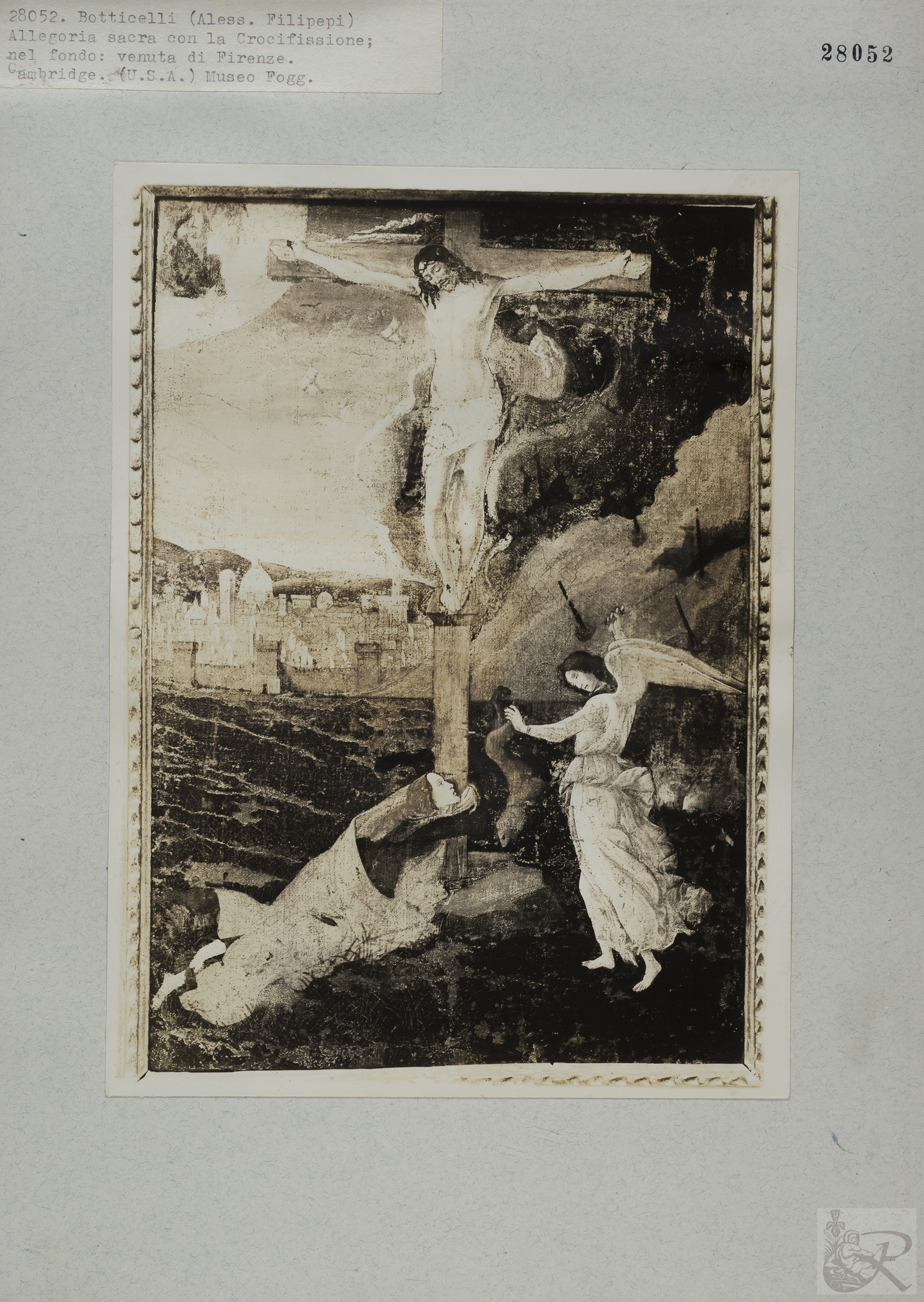 Immagine di anteprima