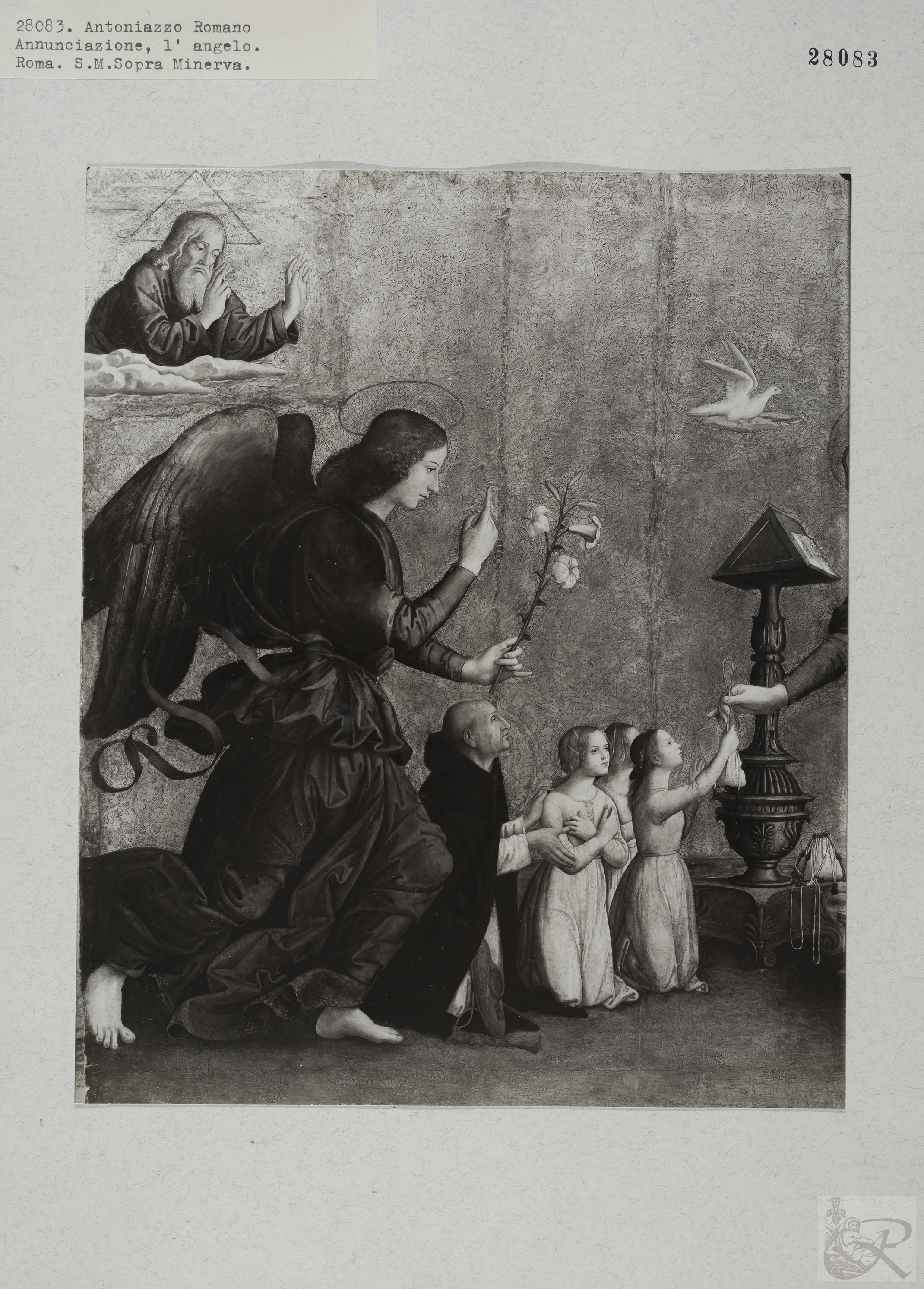 Immagine di anteprima