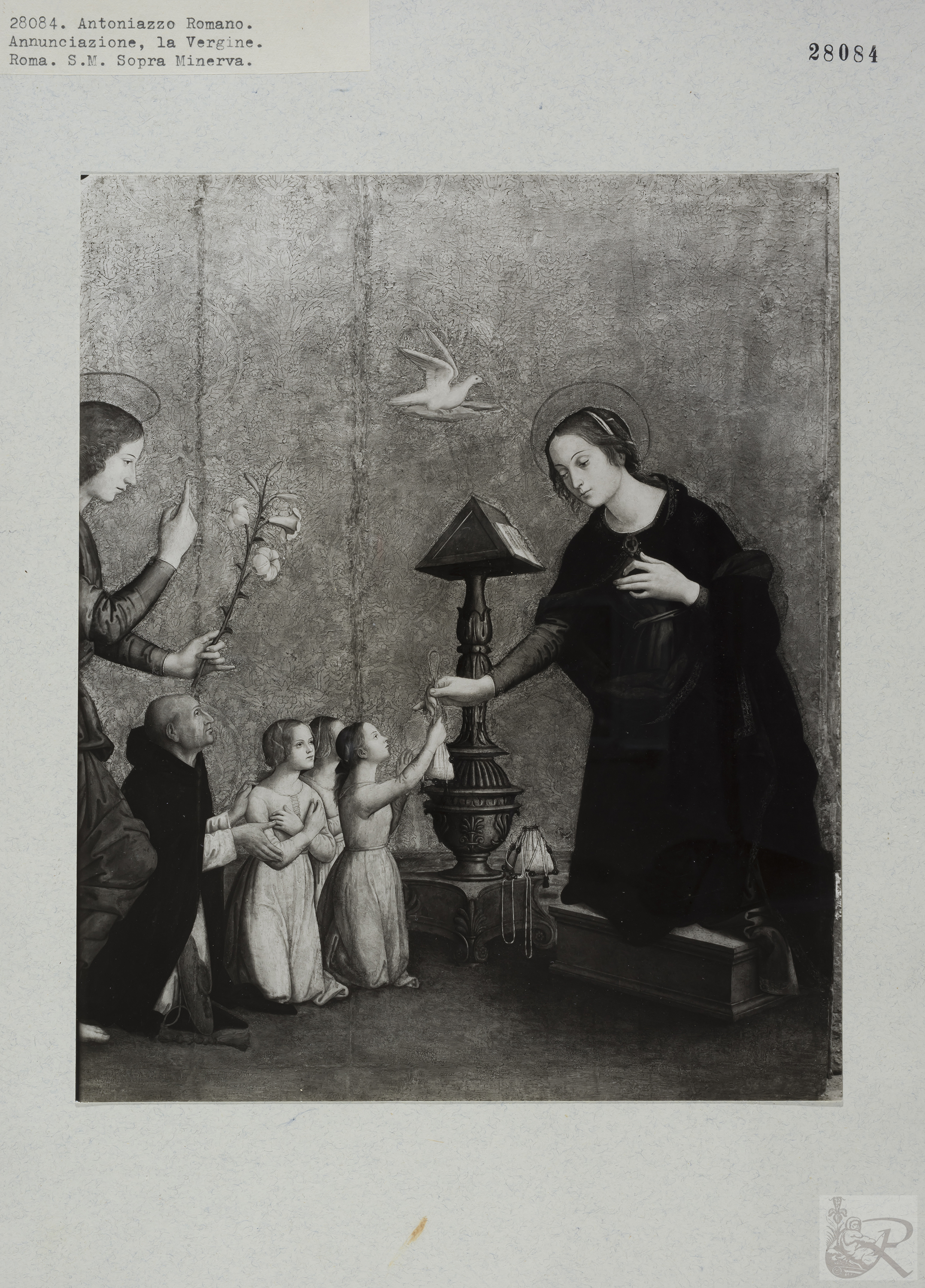 Immagine di anteprima