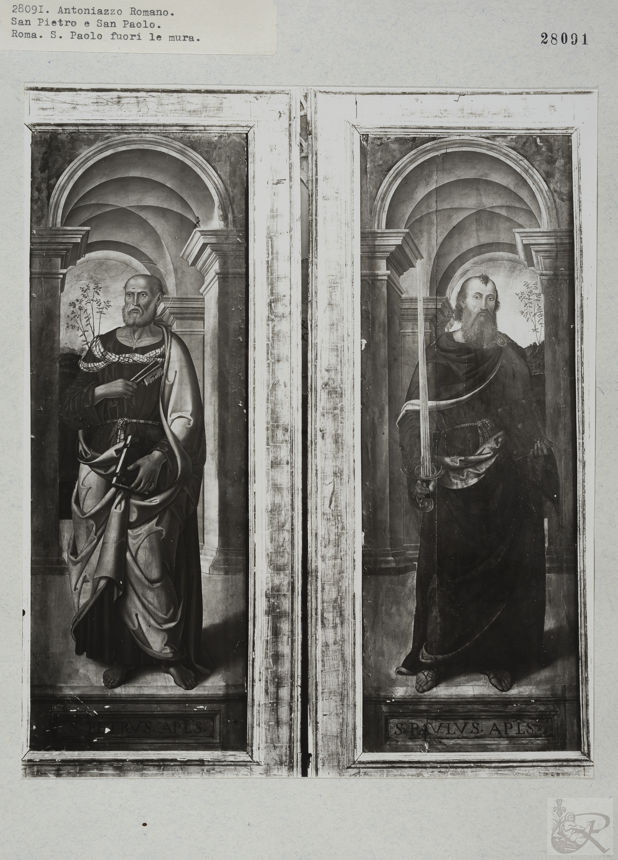 Immagine di anteprima