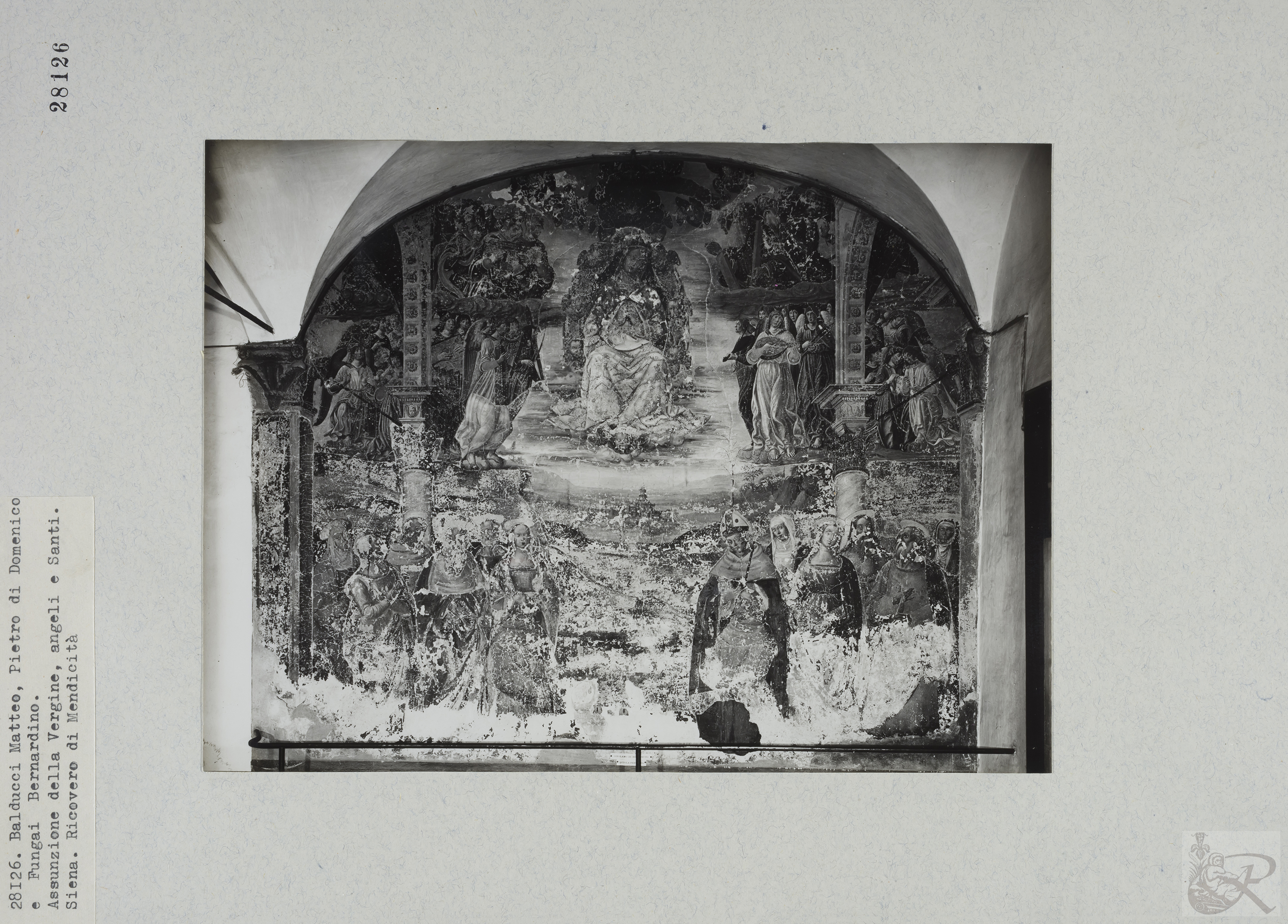 Immagine di anteprima