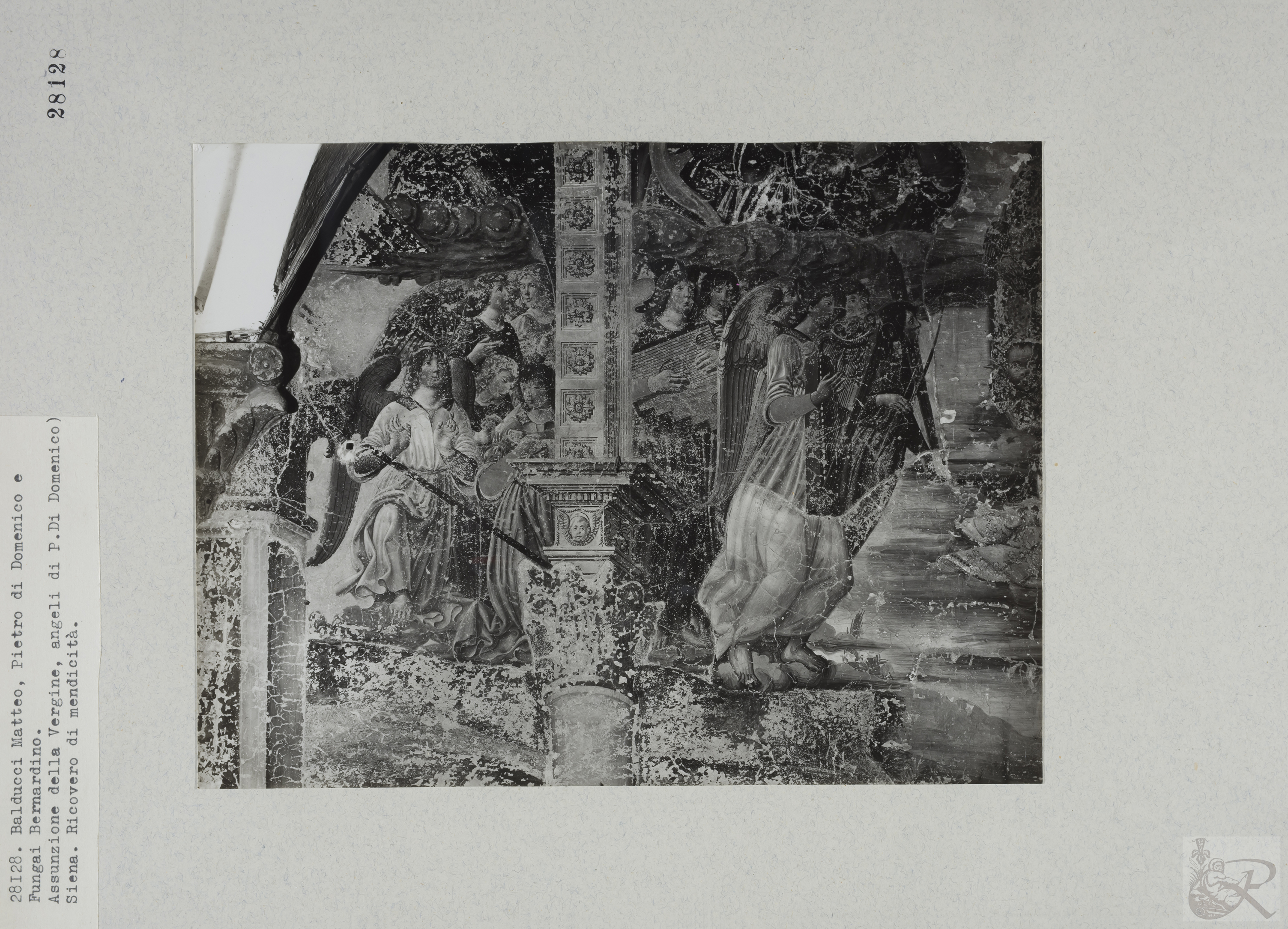 Immagine di anteprima