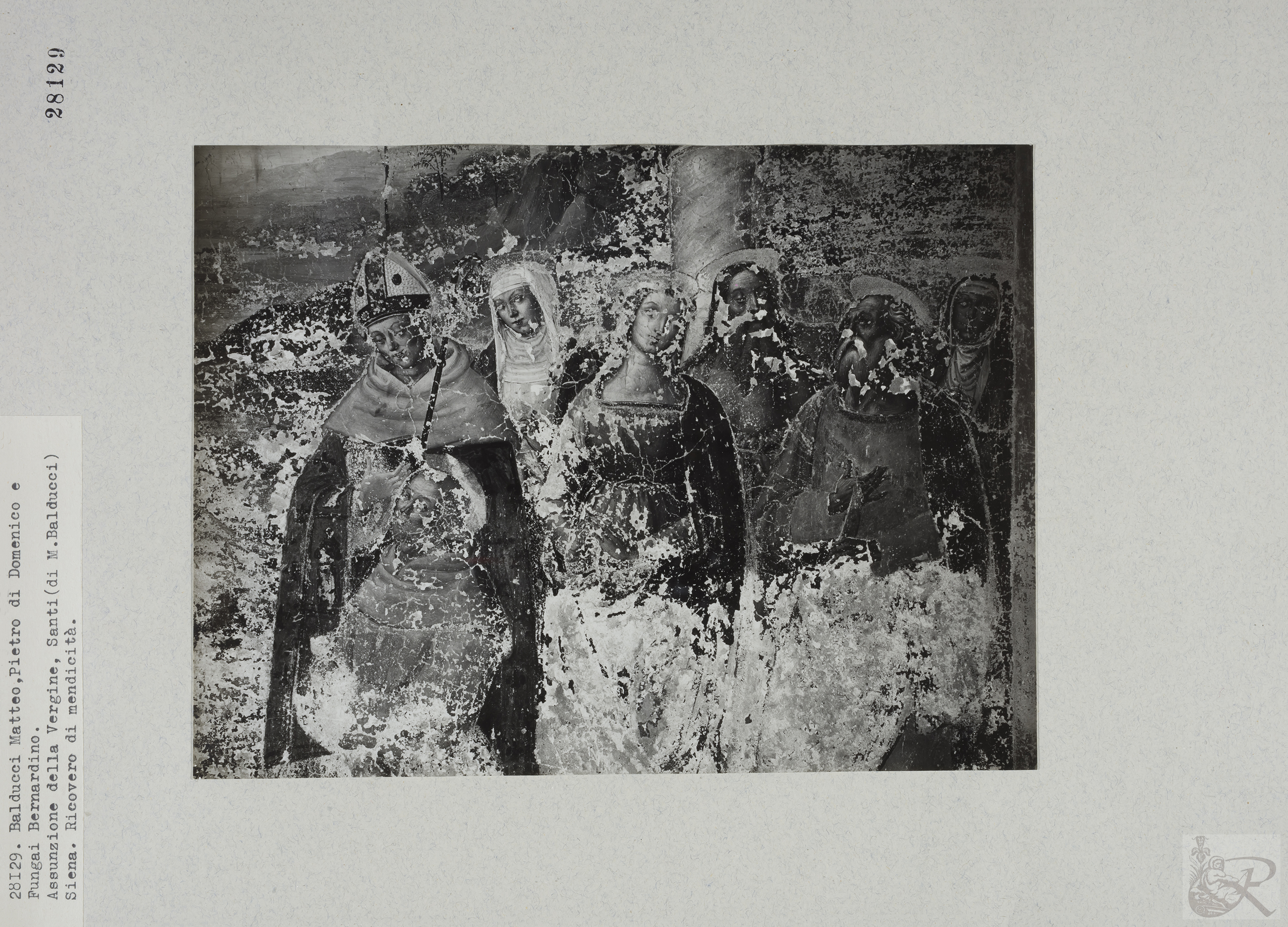 Immagine di anteprima