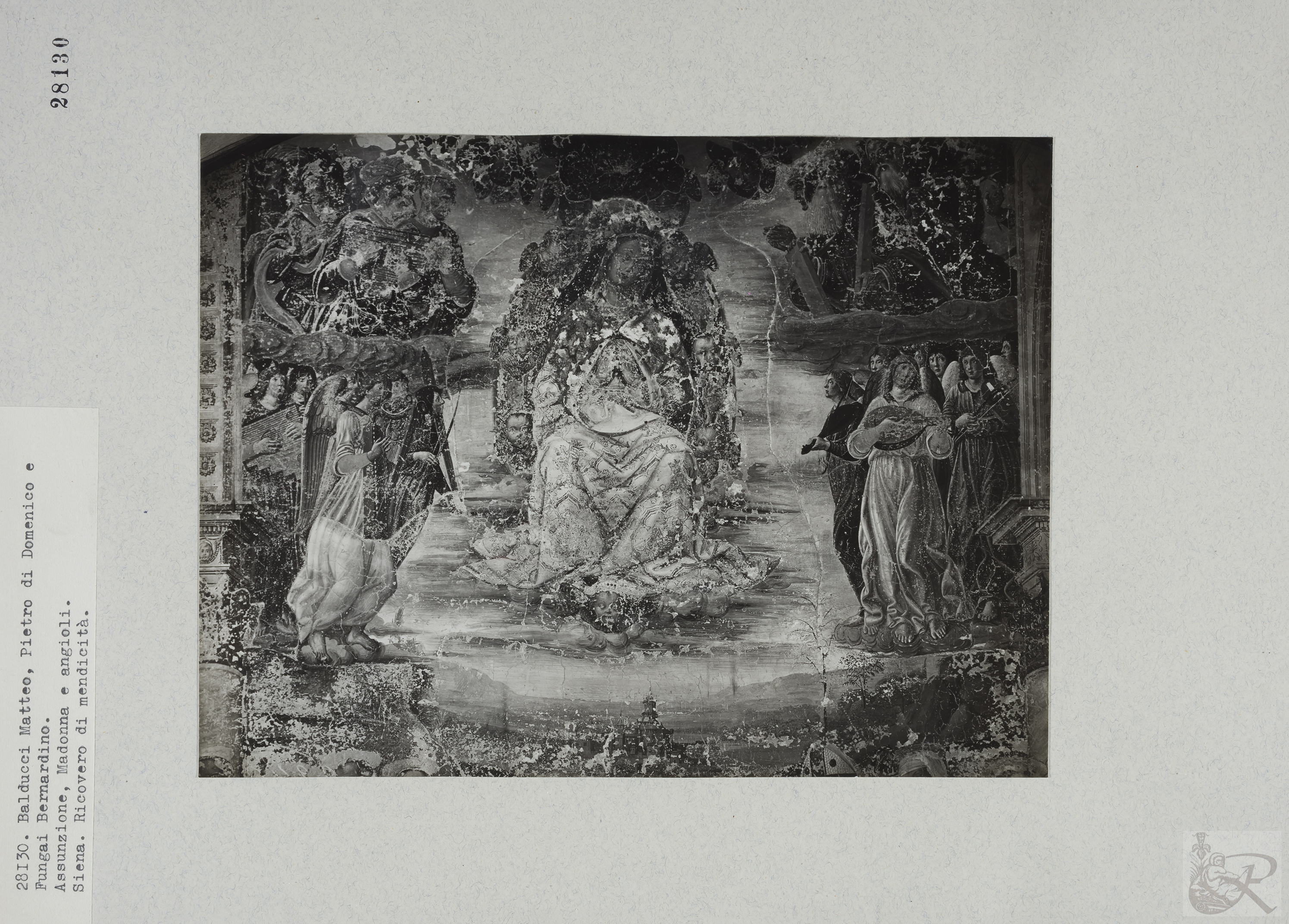 Immagine di anteprima