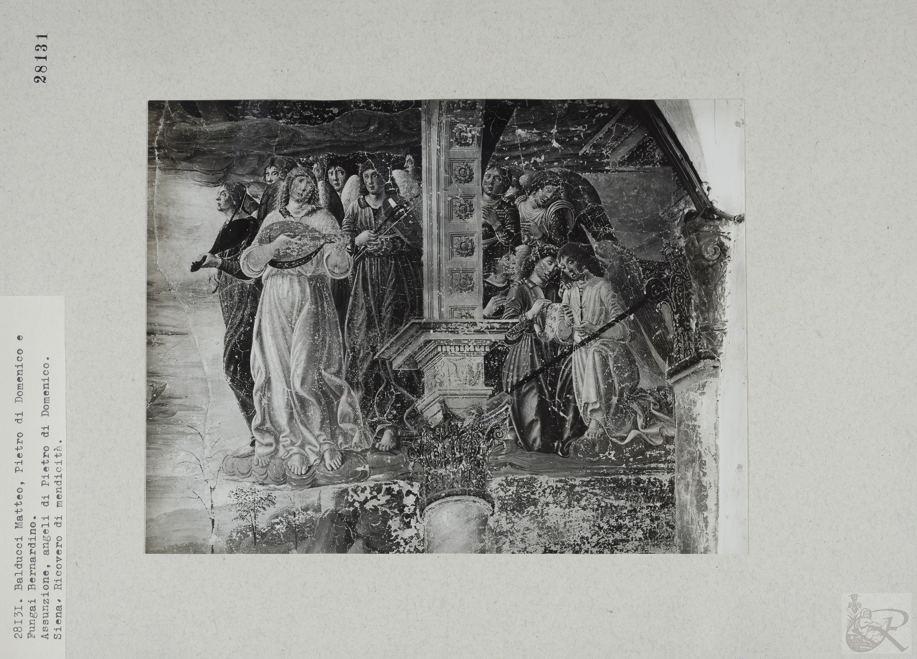 Immagine di anteprima