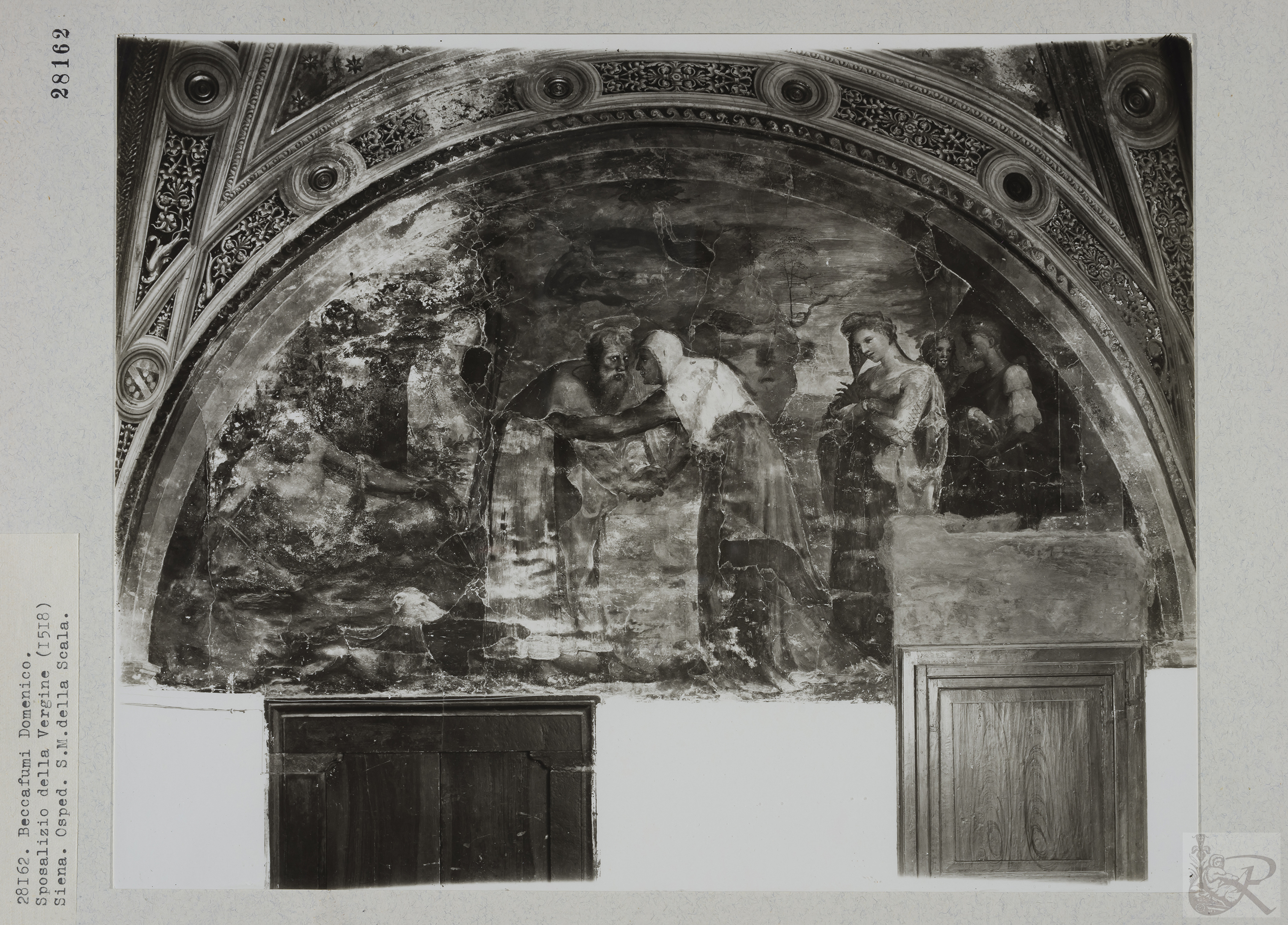 Immagine di anteprima