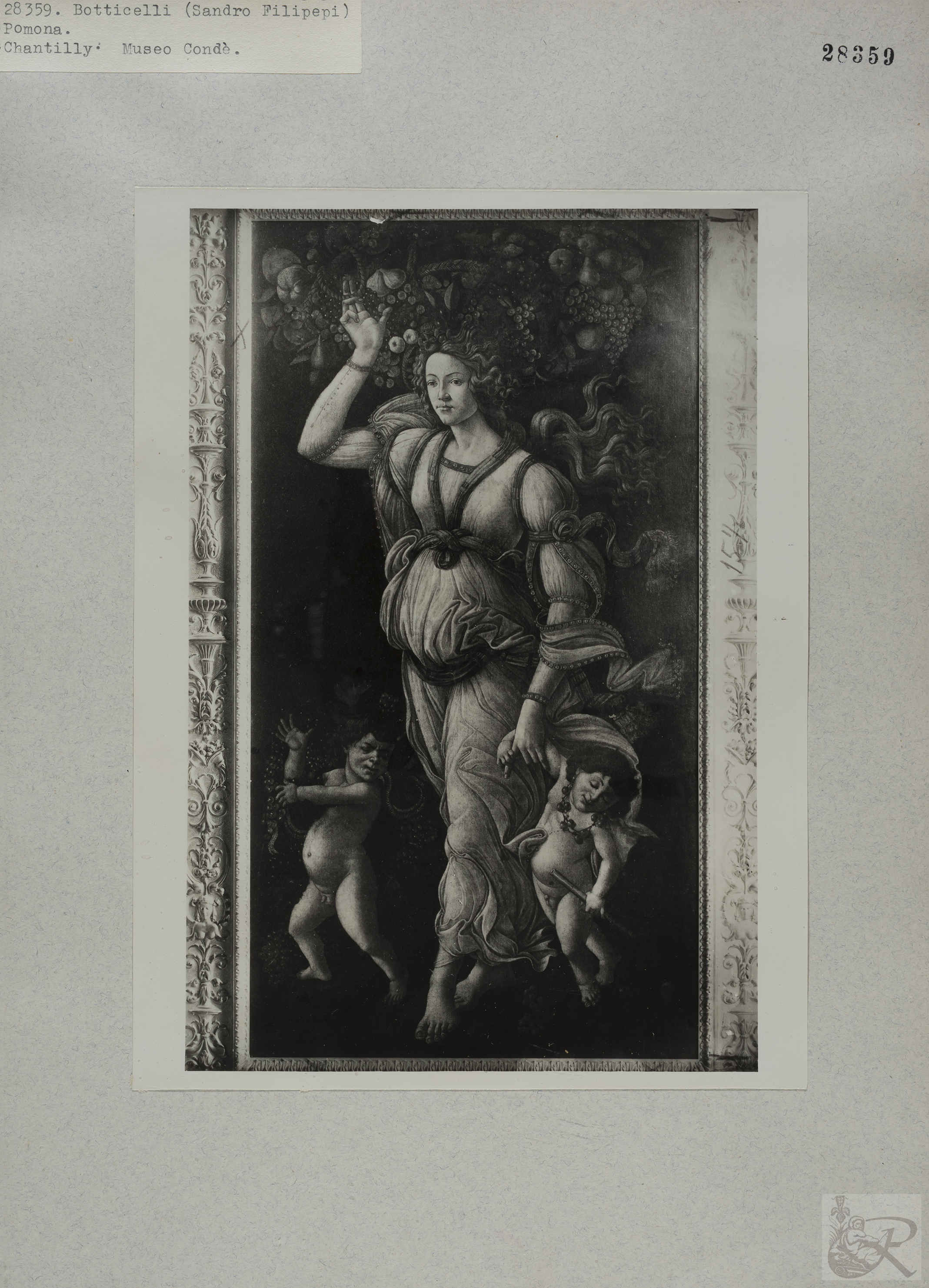 Immagine di anteprima