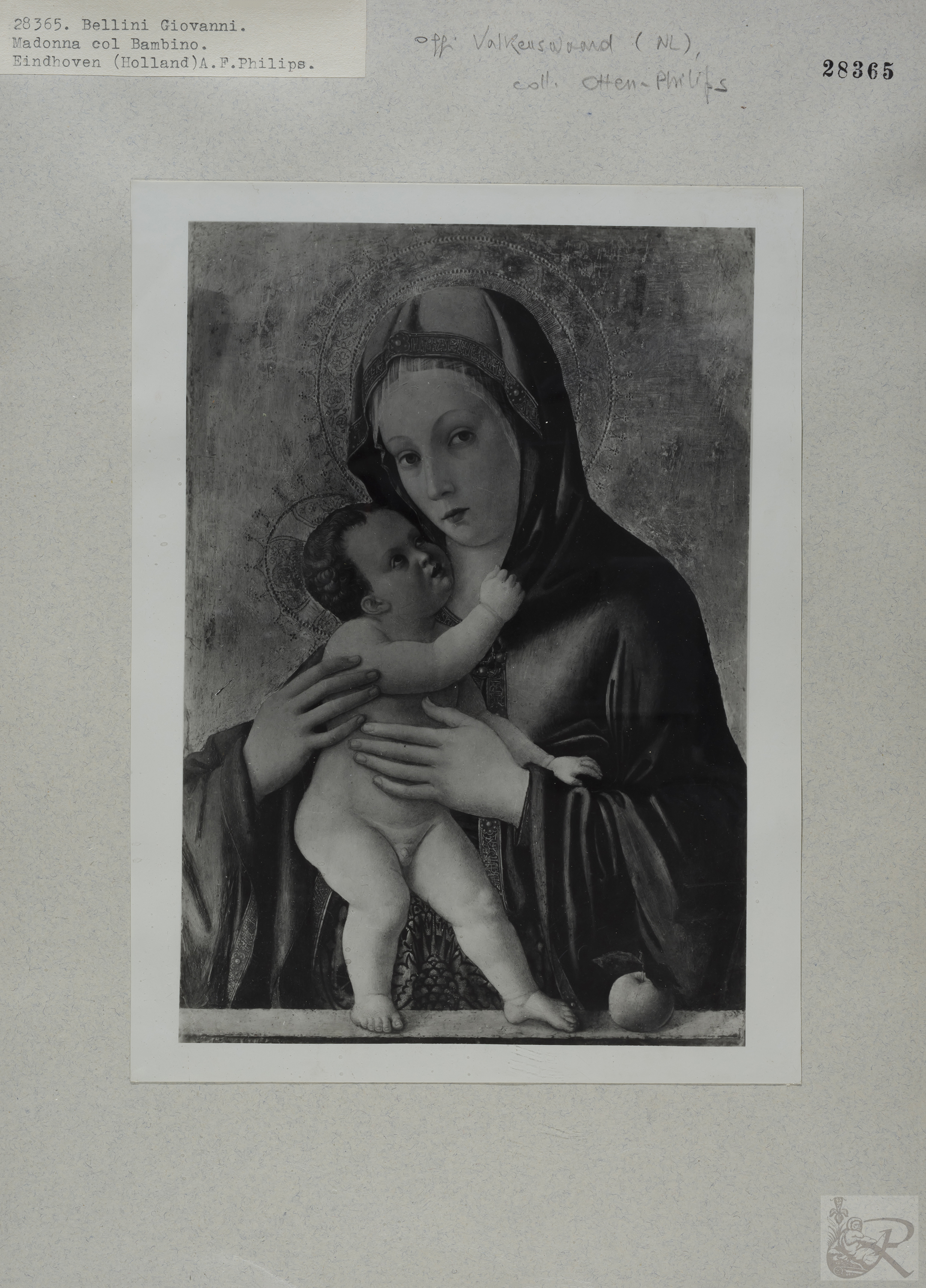 Immagine di anteprima