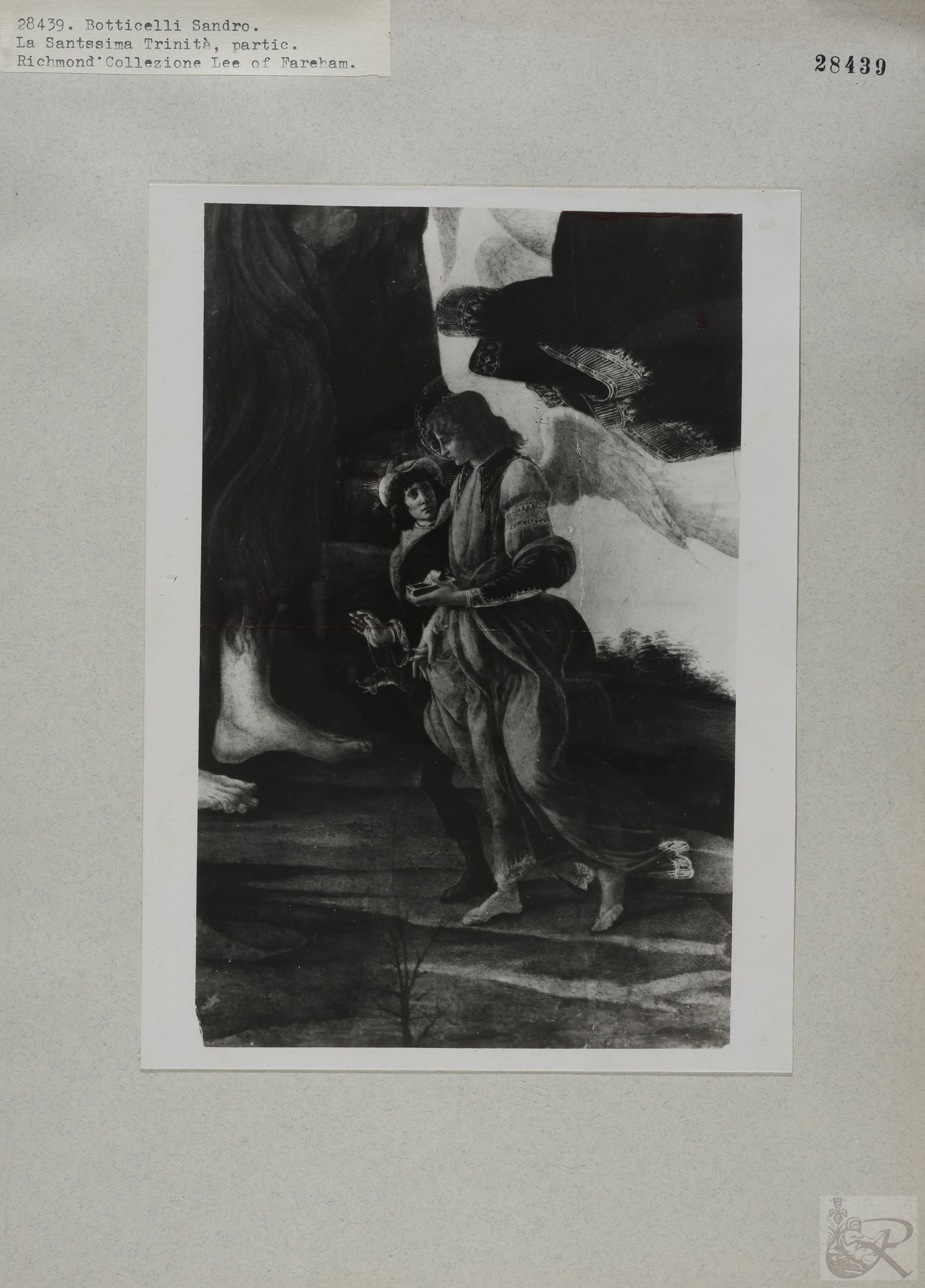 Immagine di anteprima