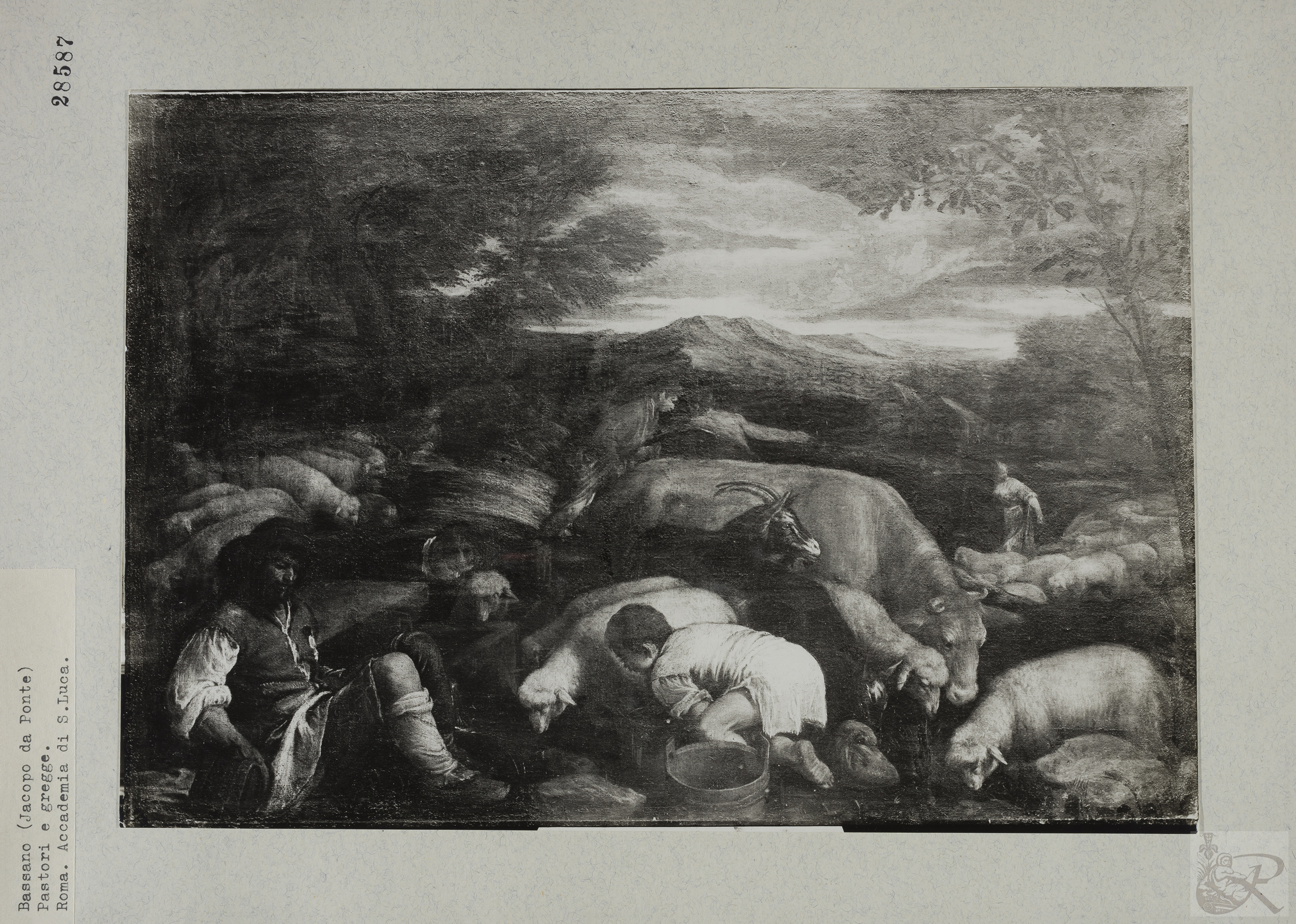 Immagine di anteprima