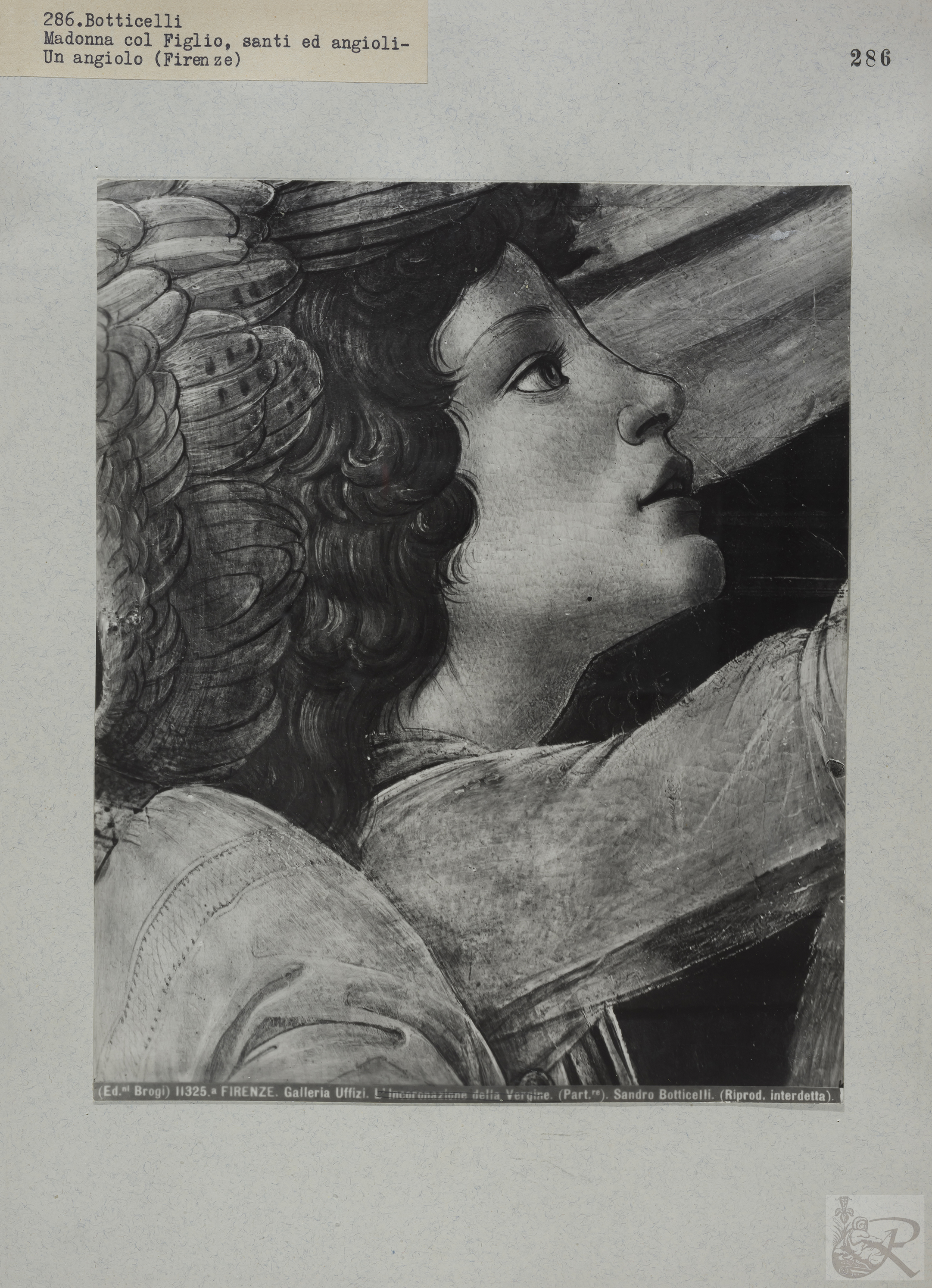 Immagine di anteprima