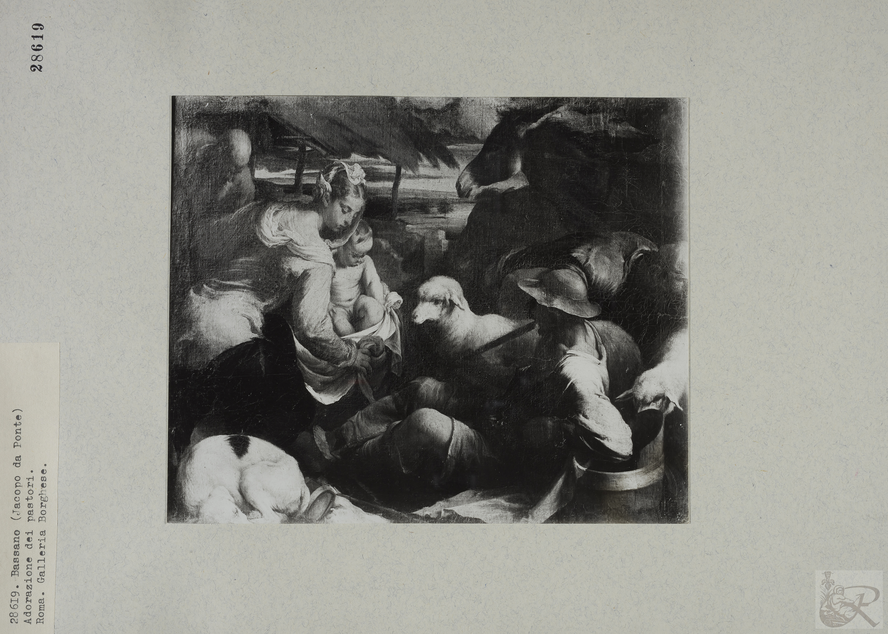 Immagine di anteprima