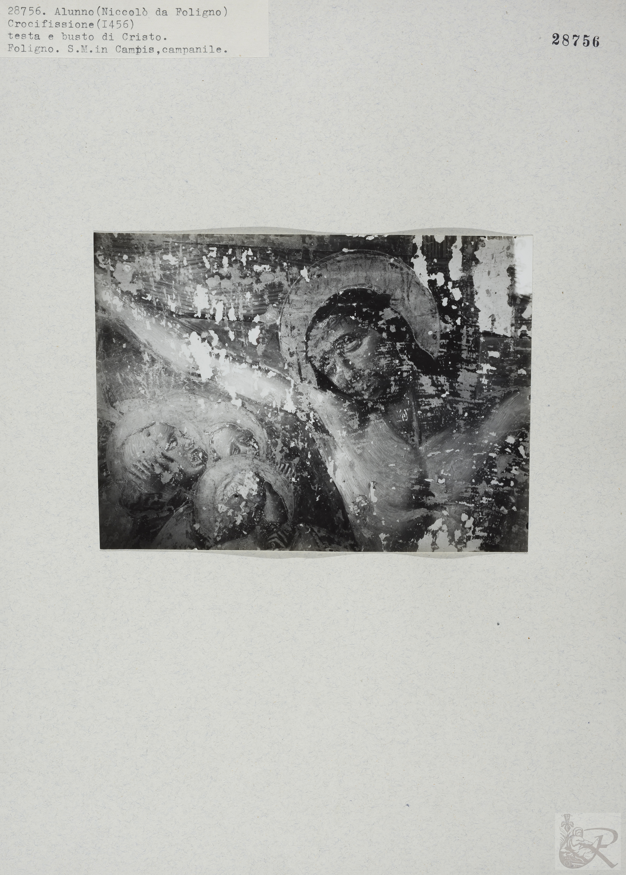 Immagine di anteprima