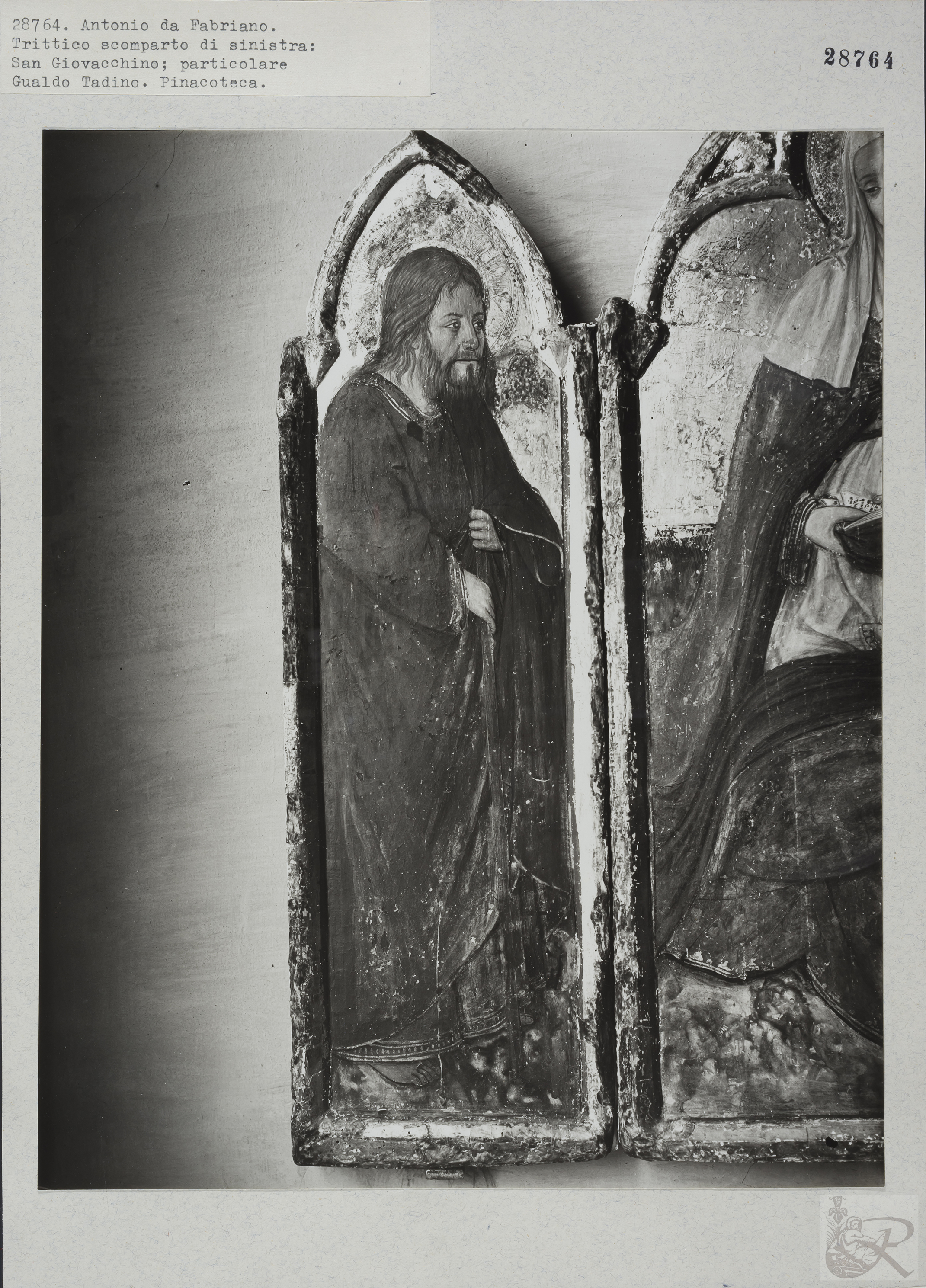 Immagine di anteprima