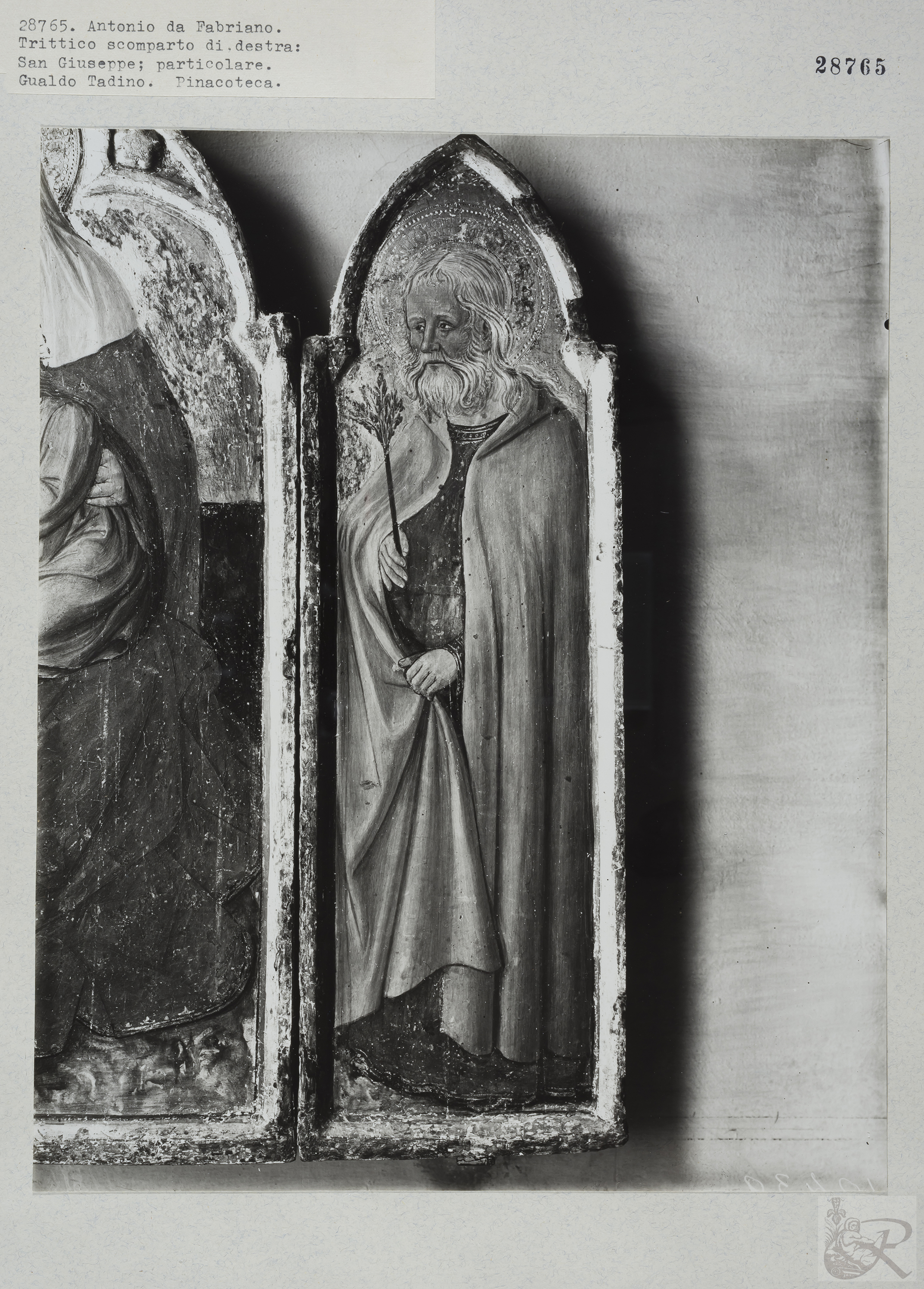 Immagine di anteprima