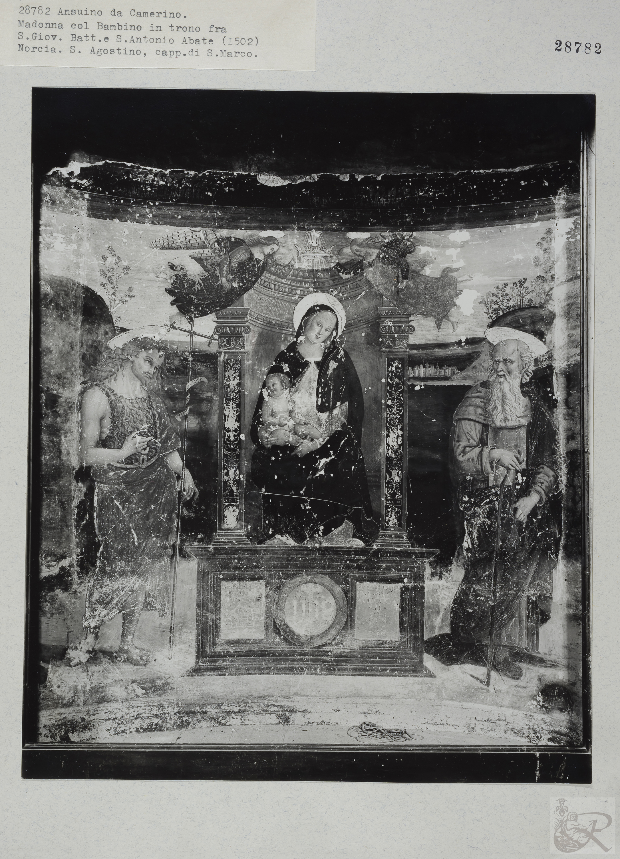 Immagine di anteprima