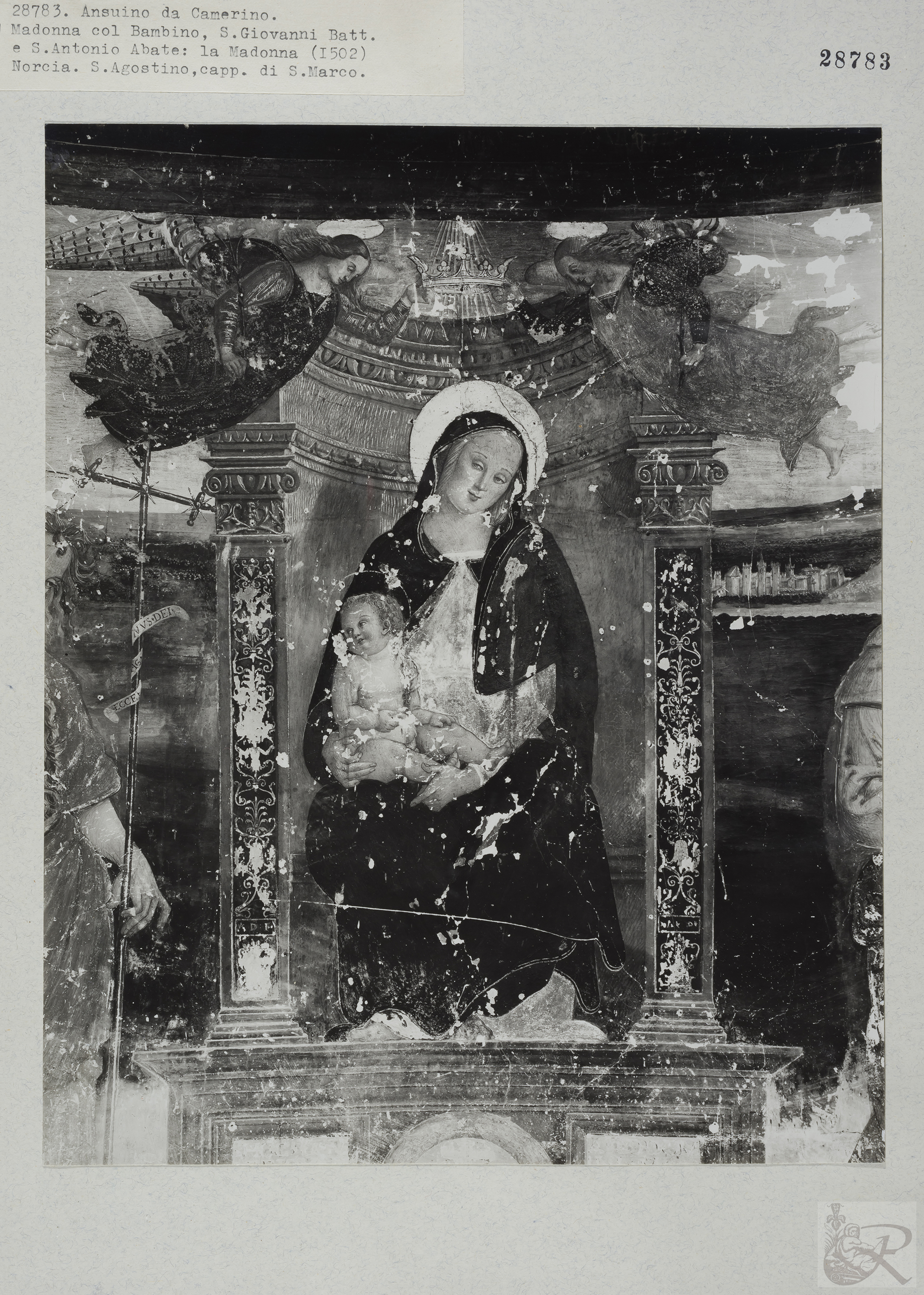 Immagine di anteprima