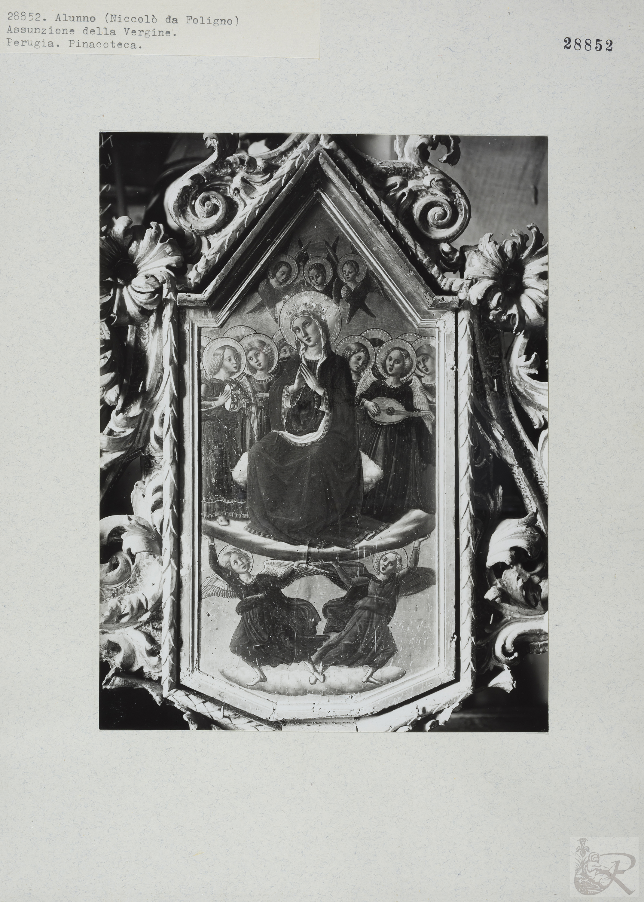 Immagine di anteprima