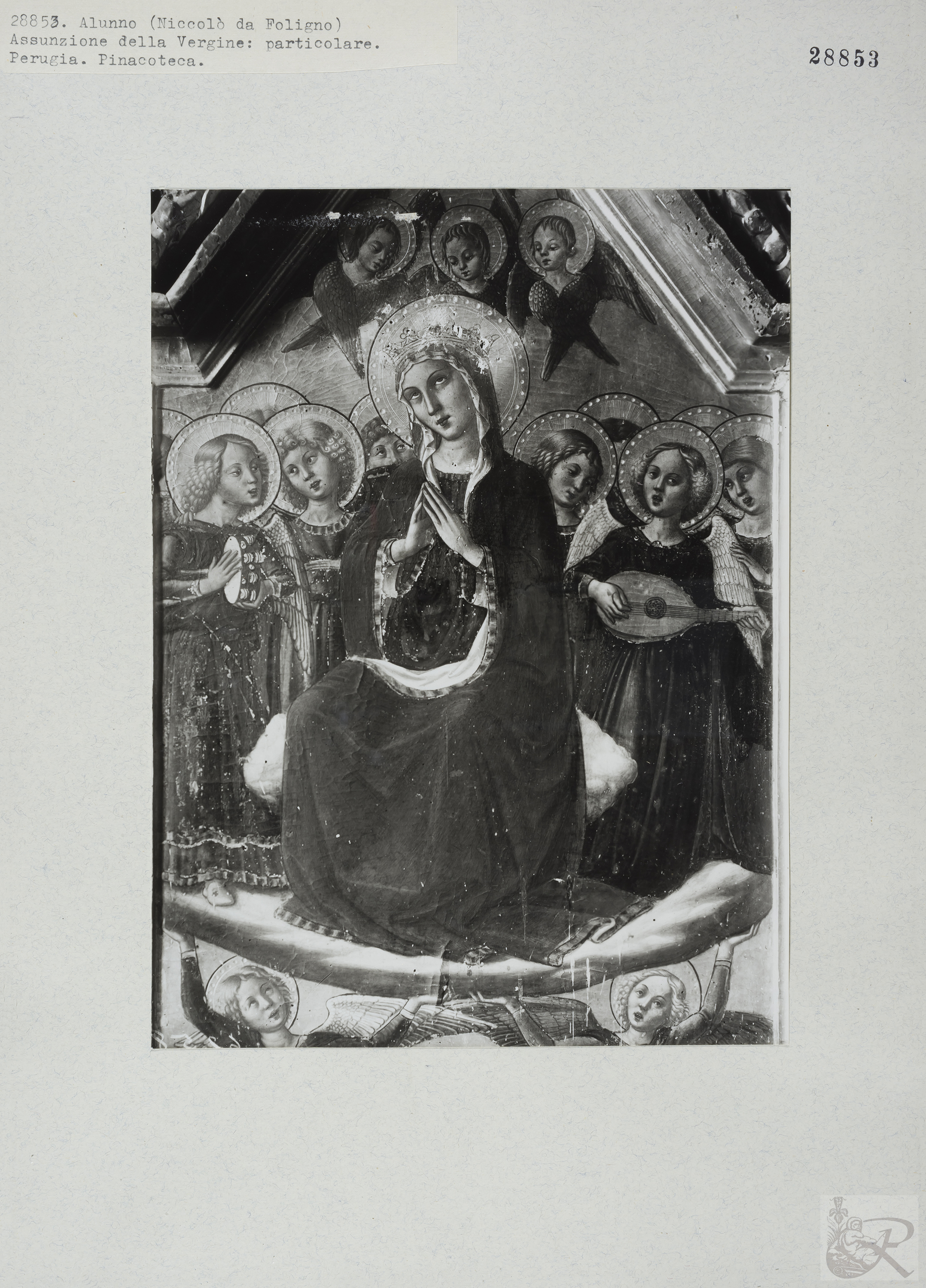 Immagine di anteprima