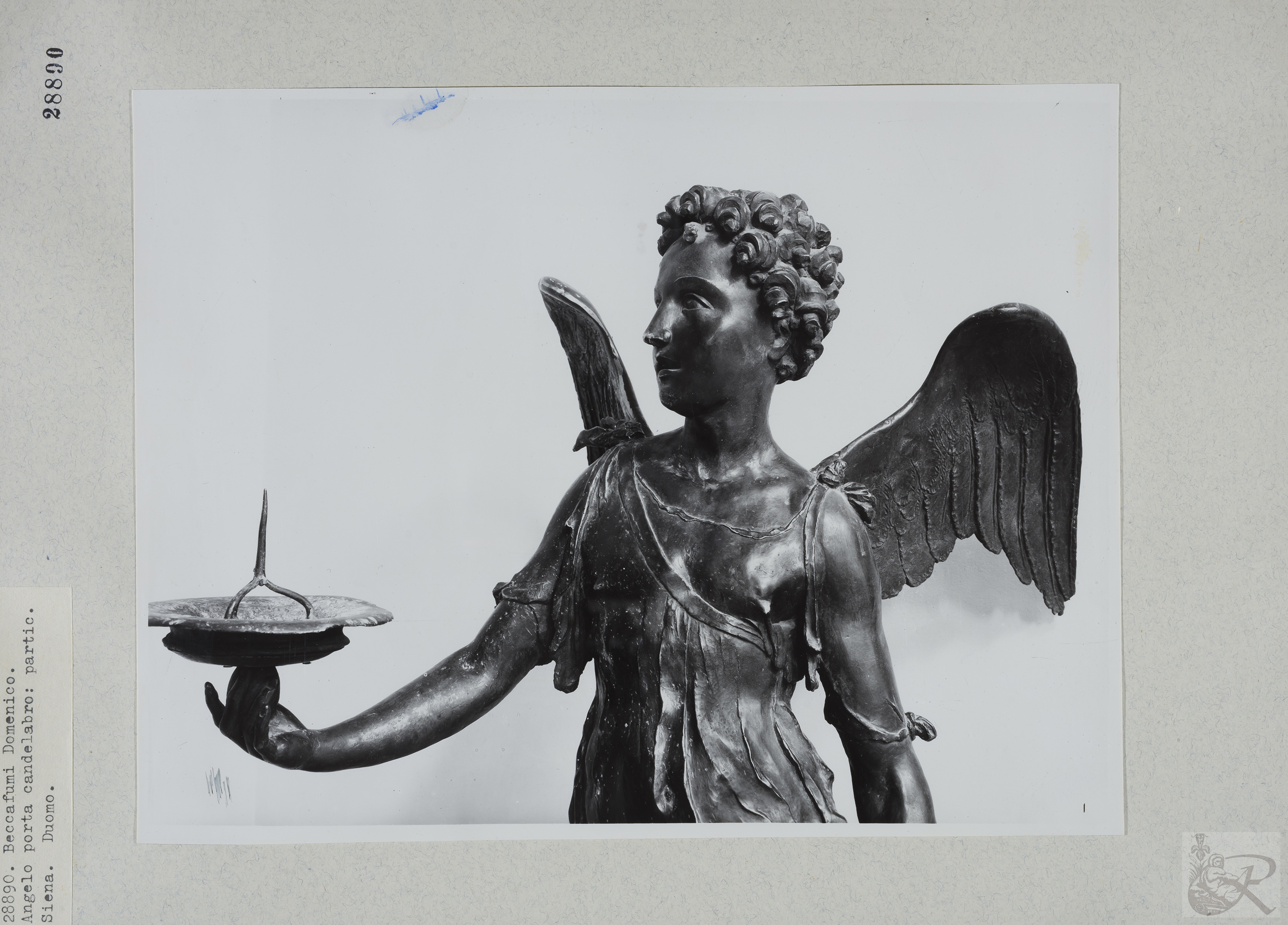 Immagine di anteprima